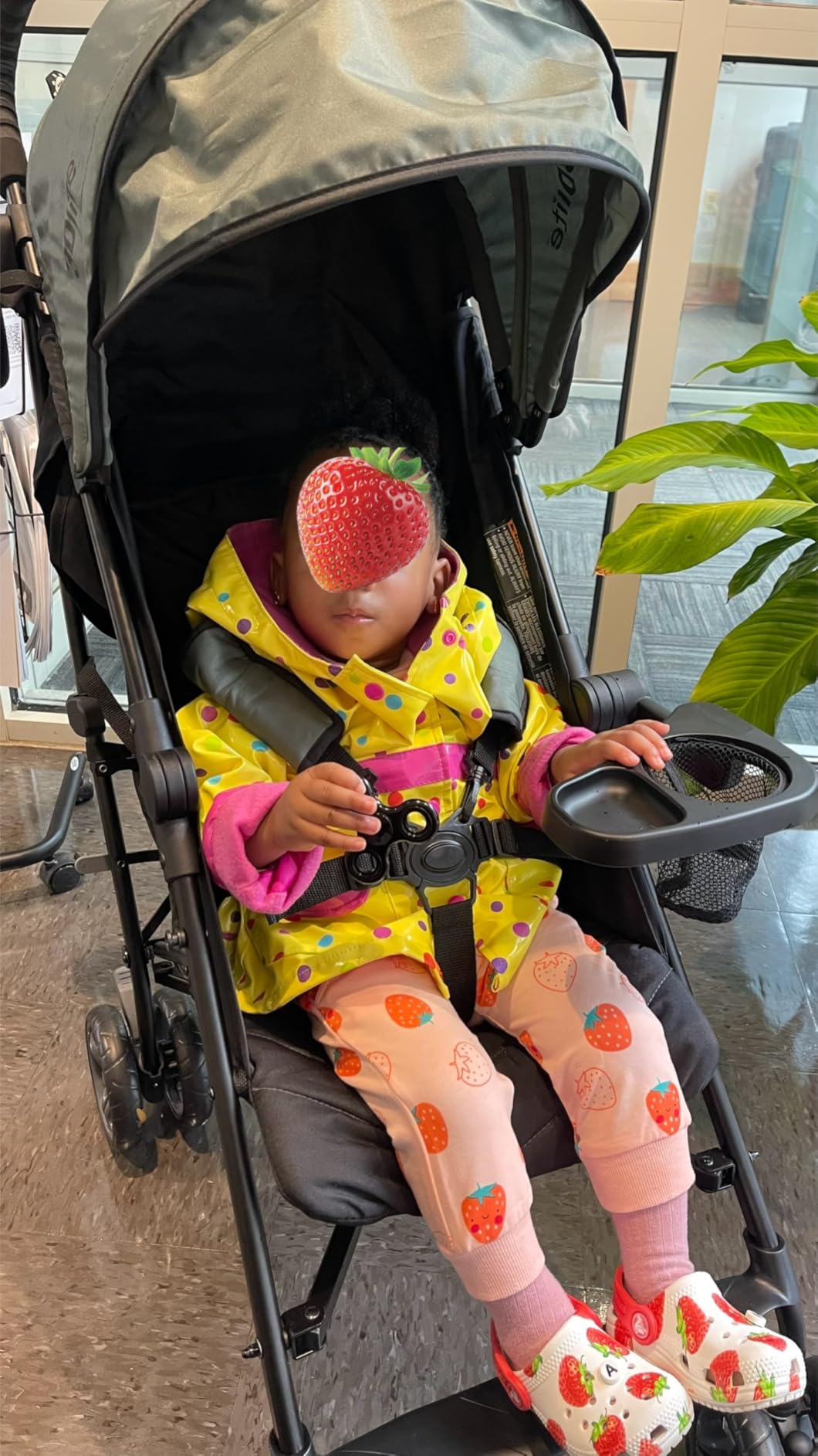 Ingenuity 3Dlite Convenience Stroller, Gray - Lightweight Stroller with Aluminum Frame, Large Seat Area, 4 Position Recline, Extra Large Storage Basket - Infant Stroller for Travel and More customer photo 1