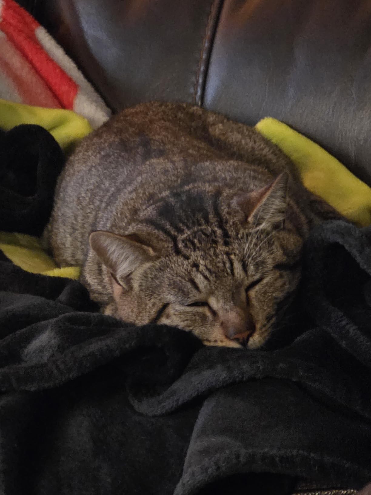 Tile - Bluetooth Tracker, Keys Finder and Item Locator for Keys, Bags and More. Phone Finder. Both iOS and Android Compatible. 1-Pack (Black) customer photo 1