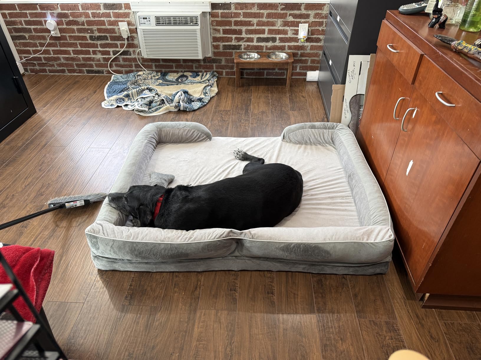 Extra Large Dog Bed, Orthopedic Dog Bed with Cooling Gel Memory Foam, Waterproof XL Pet Bed with Removable Washable Cover, 42 inch Pet Sofa Couch Dutch Velvet with Bone Toy, Light Gray customer photo 1