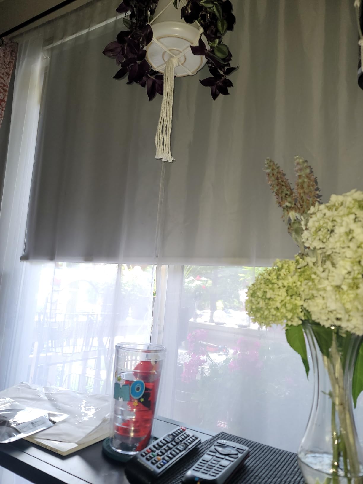 Allesin Motorized Roller Blinds with Remote Control for Windows, Blackout Automatic Smart Shades,Dry Battery Powered Electric Blind (Gray 31 W x 72 H) customer photo 1