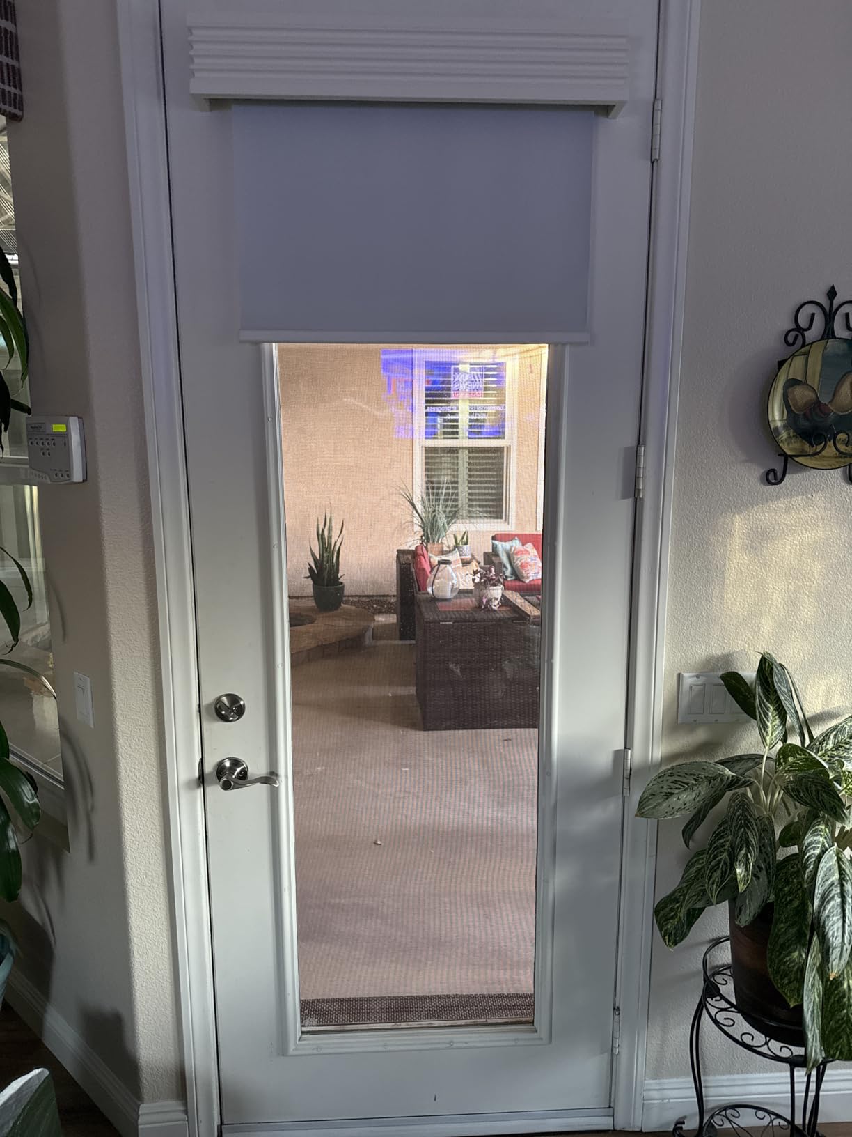 Allesin Motorized Roller Blinds with Remote Control for Windows, Blackout Automatic Smart Shades,Dry Battery Powered Electric Blind (Gray 31 W x 72 H) customer photo 2