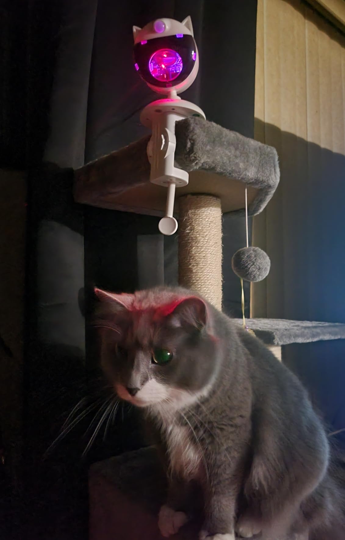 Potaroma Smart Sensor Cat Laser Toys Interactive, Motion Activated Truly Random Trjajectory, Clamp Design, Automatic Chargeable Kitten Toy Indoor Exercise, Cream White customer photo 1