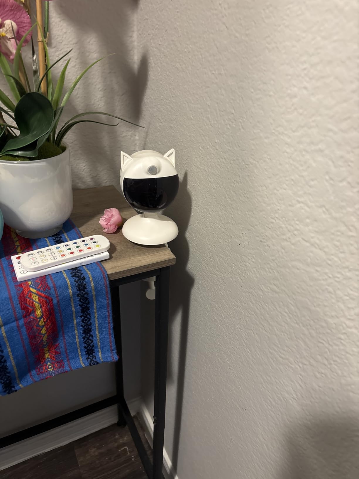 Potaroma Smart Sensor Cat Laser Toys Interactive, Motion Activated Truly Random Trjajectory, Clamp Design, Automatic Chargeable Kitten Toy Indoor Exercise, Cream White customer photo 2