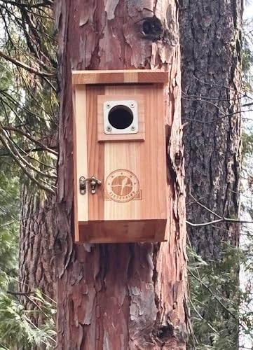 2 Pack Bird Houses for Outside Clearance with Copper Guard, Cedar Bird House Outdoor, Bluebird Finch Swallow Wren Chickadee Assembly Required customer photo 2
