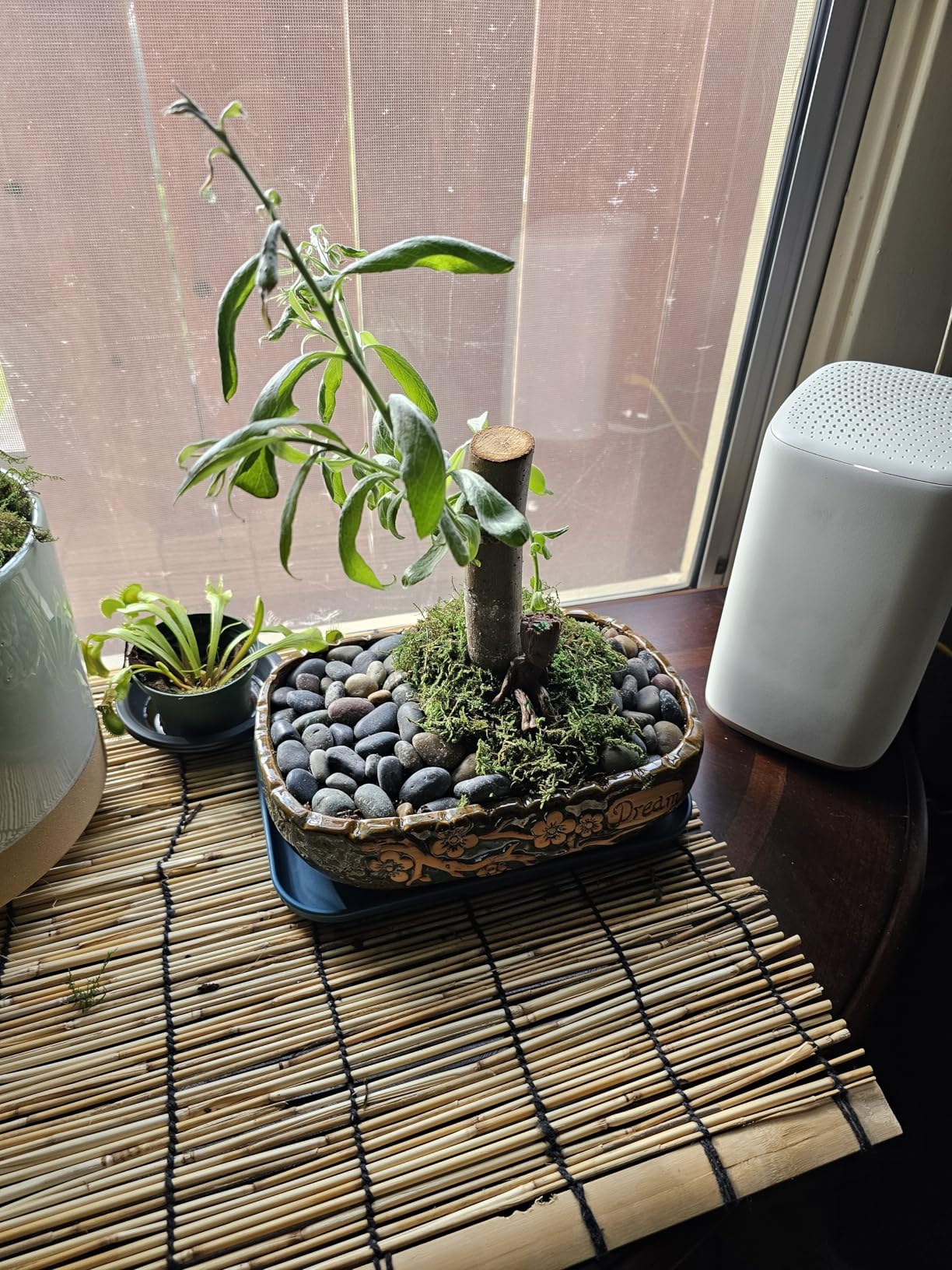 MUZHI 9.5 Rectangular Ceramic Rustic Bonsai Planter Pots with Drip Tray, Glazed Vintage Wide Mouth Shallow Pottery Bonsai Flower Planter Pots with Saucer customer photo 1