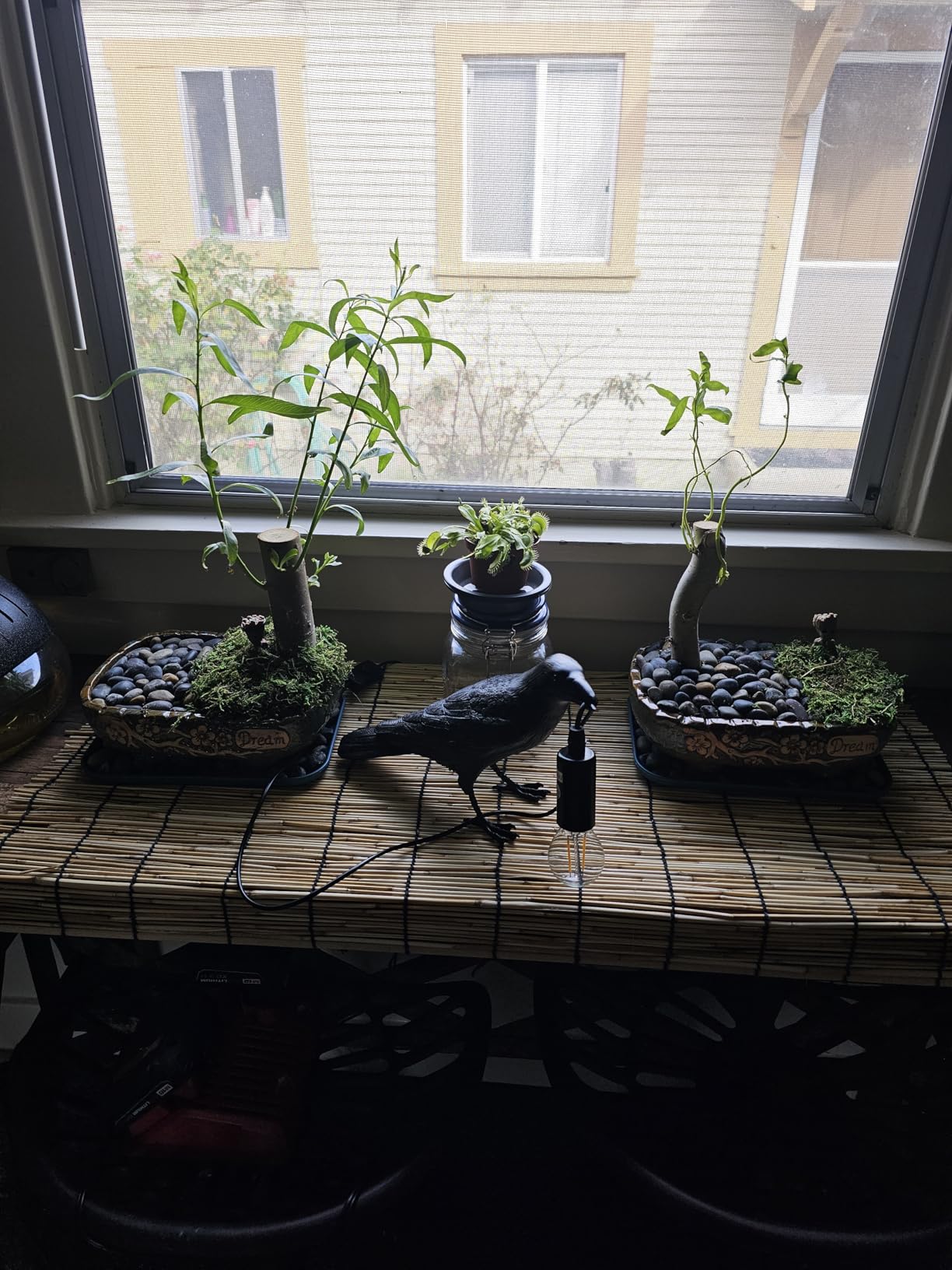 MUZHI 9.5 Rectangular Ceramic Rustic Bonsai Planter Pots with Drip Tray, Glazed Vintage Wide Mouth Shallow Pottery Bonsai Flower Planter Pots with Saucer customer photo 2