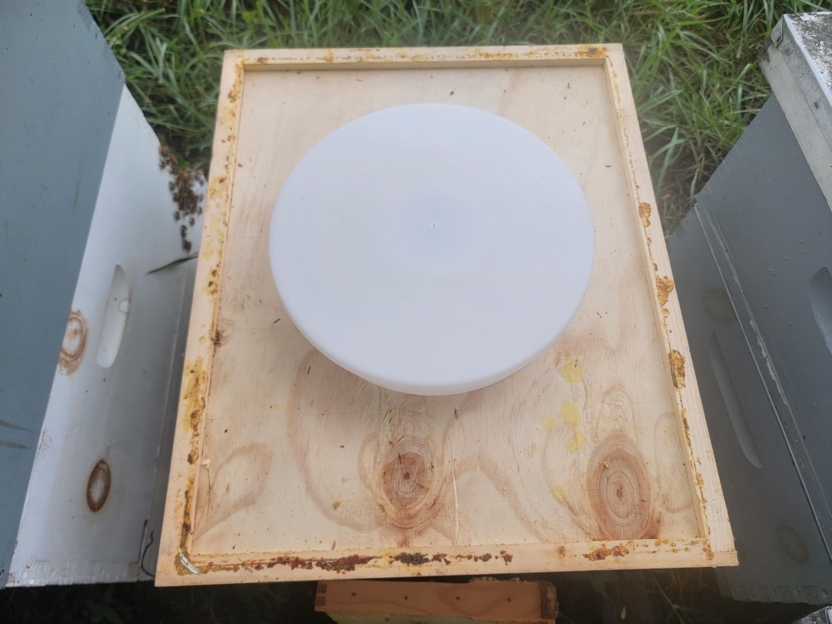 Upgraded Rapid Bee Top Feeder with Anti-Drowning Sponge Rings, Round Hive Top Feeders for 8-Frame and 10-Frame Bee Hives (2 Pack) customer photo 2