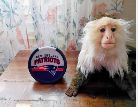 Amazon Echo Pop (newest model) | Officially Licensed NFL Limited-Edition | Seattle Seahawks ('25-26 Season Design) customer photo 2