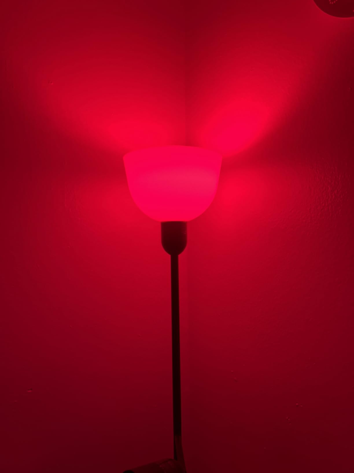 Revive - 670nm Red Light Bulb by Gamma - Sleep Therapy - Melatonin Promoting Natural Sleep Aid customer photo 2