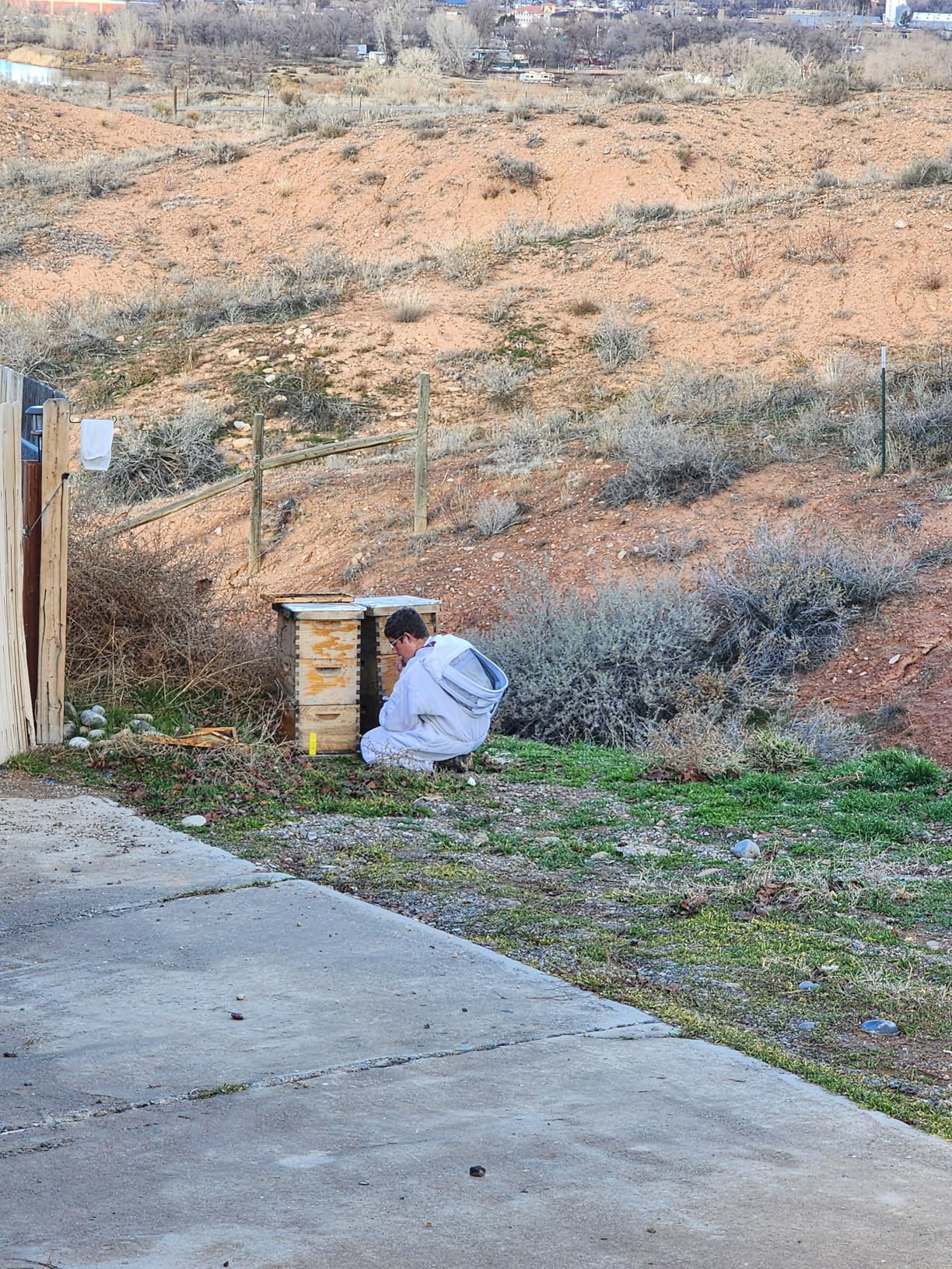 MayBee 13 Pcs Beekeeping Tools with Bee Smoker, Beekeeping Supplies Bee Hives Starter Kit for Beginners and Professional Beekeeper, Durable, Bee Keeping Supplies-All customer photo 1