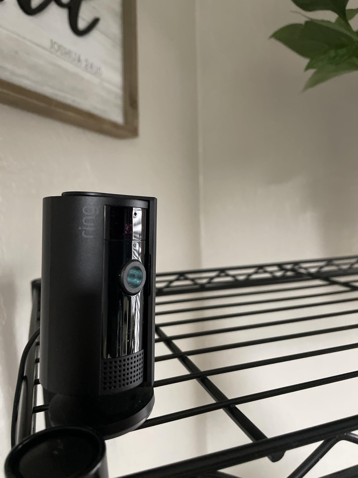 Ring Battery Doorbell with Ring Indoor Cam 2nd Gen Bundle, White customer photo 2