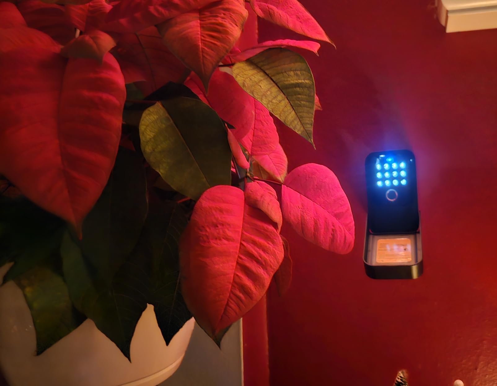 Moquin Smart Key Lock Box, TTLock APP Control, Fingerprint, Manual Keys, Access Card, EKey and Passcode Unlock, Electronic Bluetooth Wireless Lock Box for Airbnb Realtor House Office customer photo 1