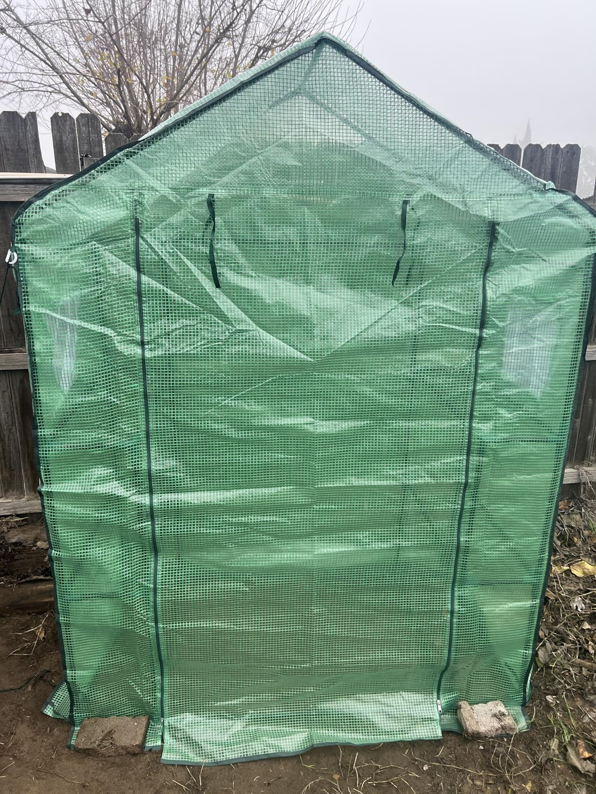 Greengro Greenhouse, 28 x 57 x 76'' Greenhouses for Outdoors, Small Plant Green House with Screen Windows, 3 Tiers 4 Shelves, Durable PE Cover, Plastic Portable Walk in Greenhouses for Outside Indoor customer photo 1