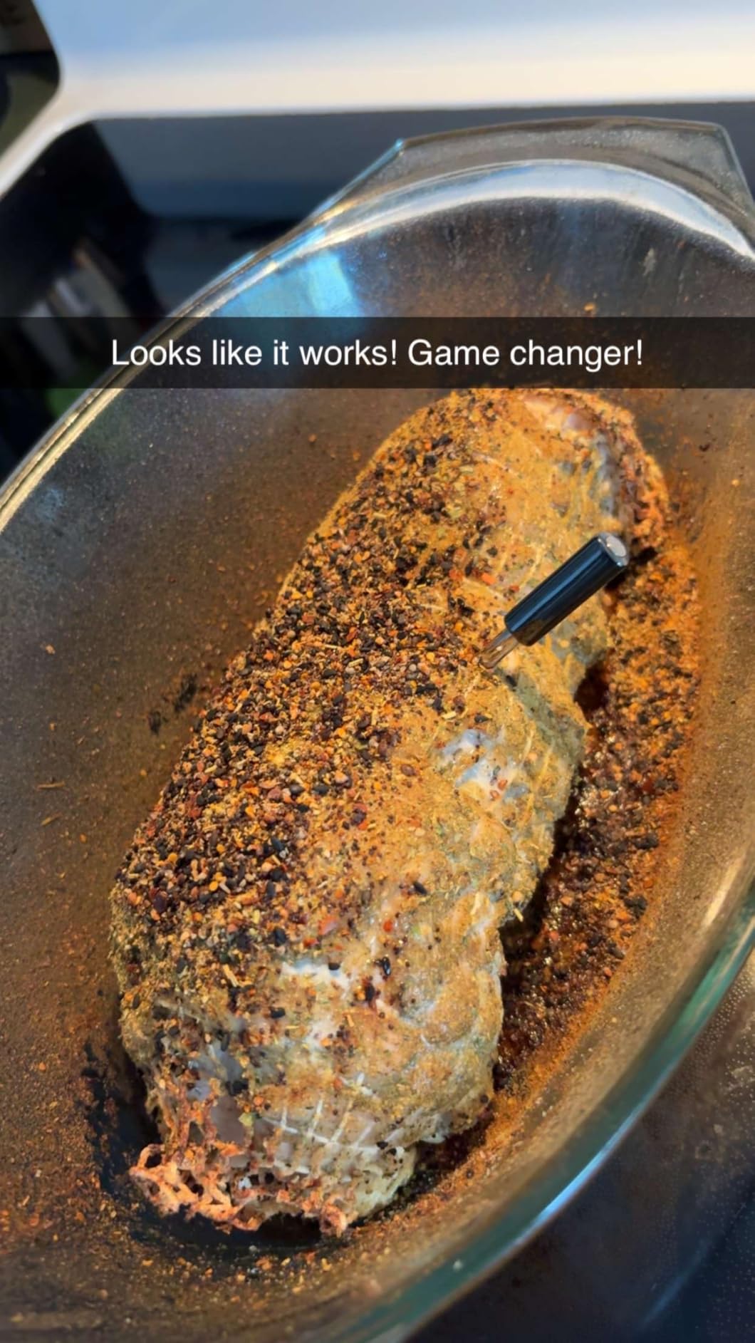 WiFi Wireless Meat Thermometer Digital, Bluetooth Meat Thermometer Wireless, Smart App Monitoring, IP67 Waterproof Meat Probe Thermometer for BBQ, Oven, Grill, Smoker (Pro) customer photo 2