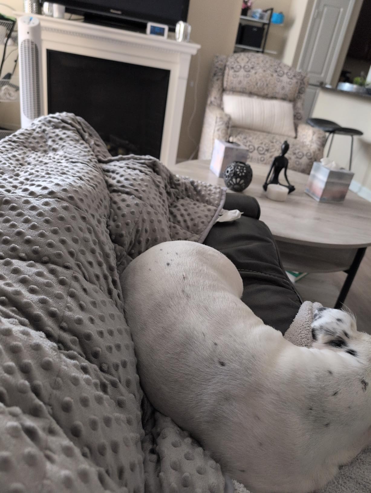 Kivik Breathable Weighted Blanket for Adults, 15 lbs Ultra Soft Minky Dot Heavy Blankets, Reversible Cooling and Warm Blanket for All Seasons, Machine Washable, 60