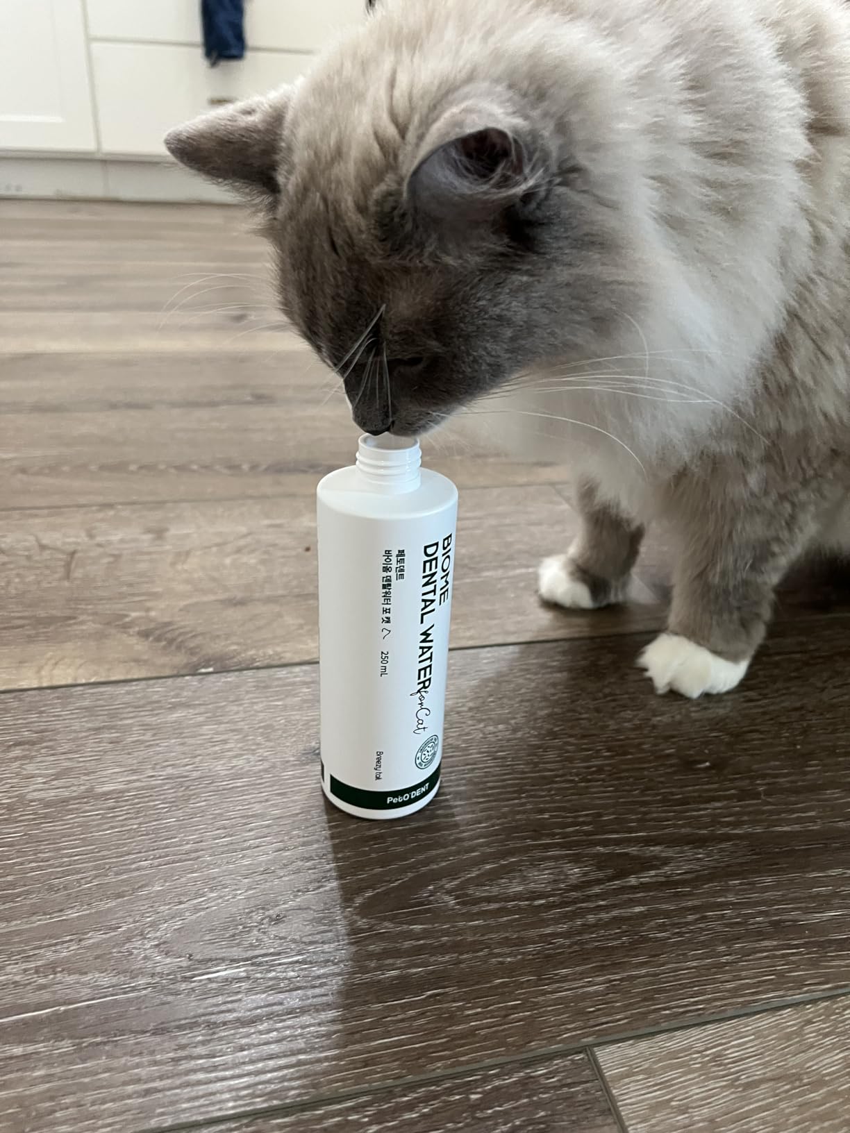 PetO'Dent Dental Water Additive for Cats-No Brushing Needed, Fresh Breath, Tartar Control & Gum Care with Catnip & Silvervine Extracts, 8.45 fl oz / 250ml customer photo 1