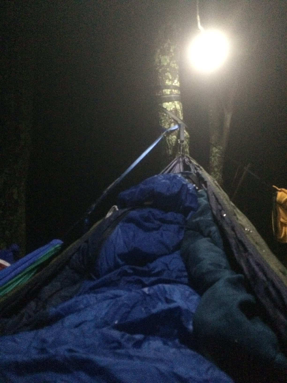 ENO, Eagles Nest Outfitters DoubleNest Lightweight Camping Hammock, 1 to 2 Person, Special Edition Colors, ATC customer photo 2