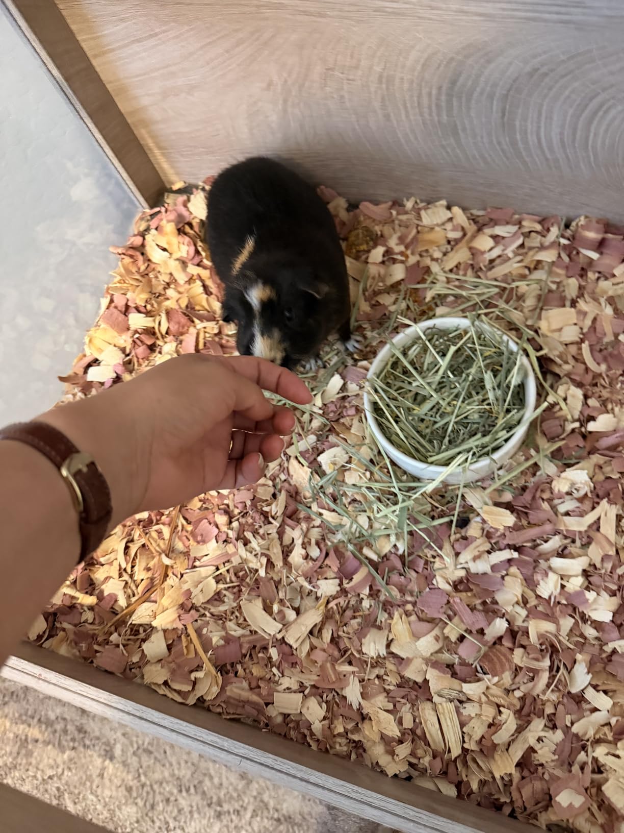 unipaws Ferret Cage with Storage, Large Vertical Hamster Cage, Iguana, Rabbits, Chinchillas, Pet Rats, Guinea Pigs - Multi-Level Small Animal Cage with Ramps, Platforms, and Wheels customer photo 1