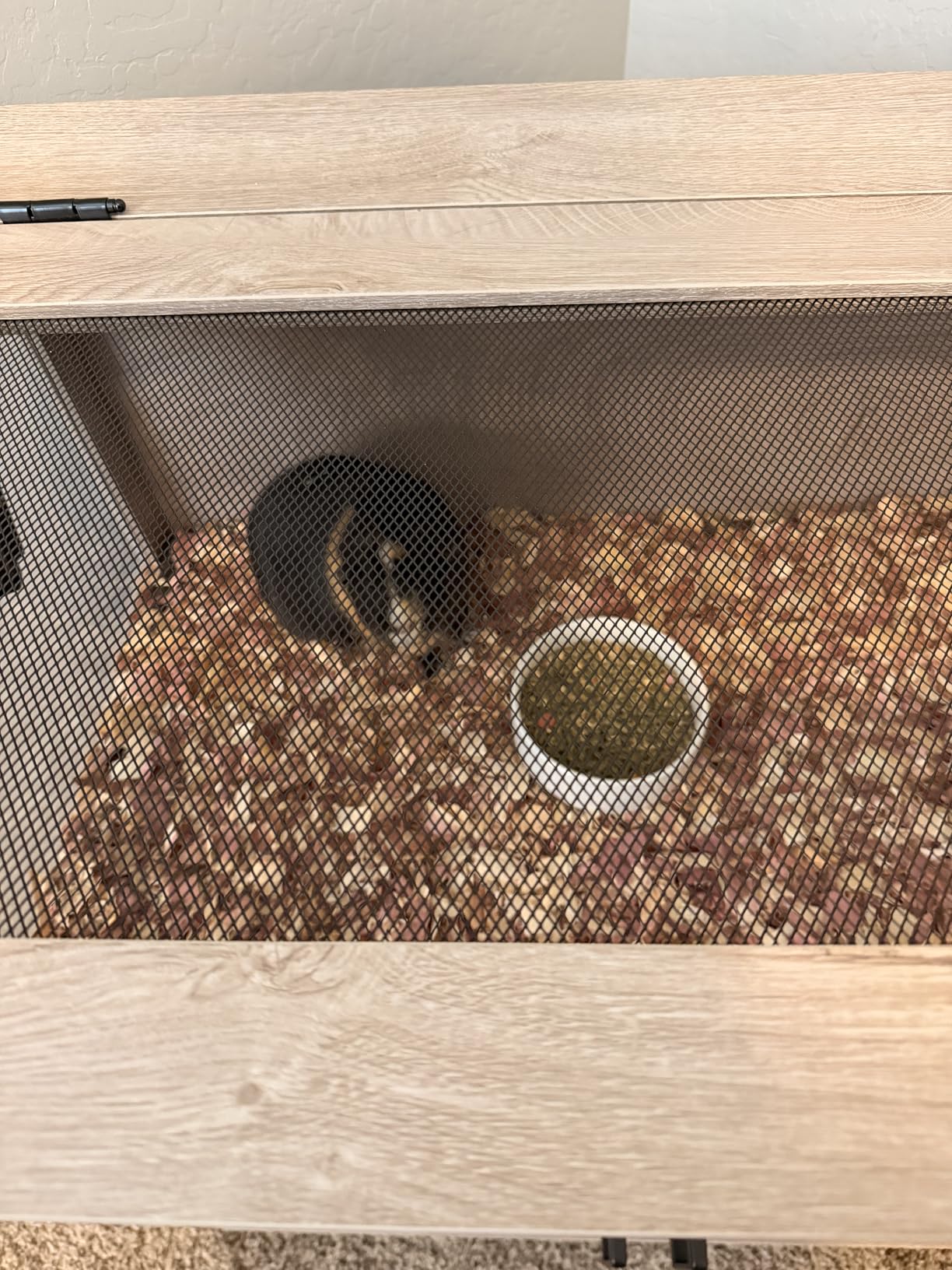 unipaws Ferret Cage with Storage, Large Vertical Hamster Cage, Iguana, Rabbits, Chinchillas, Pet Rats, Guinea Pigs - Multi-Level Small Animal Cage with Ramps, Platforms, and Wheels customer photo 2