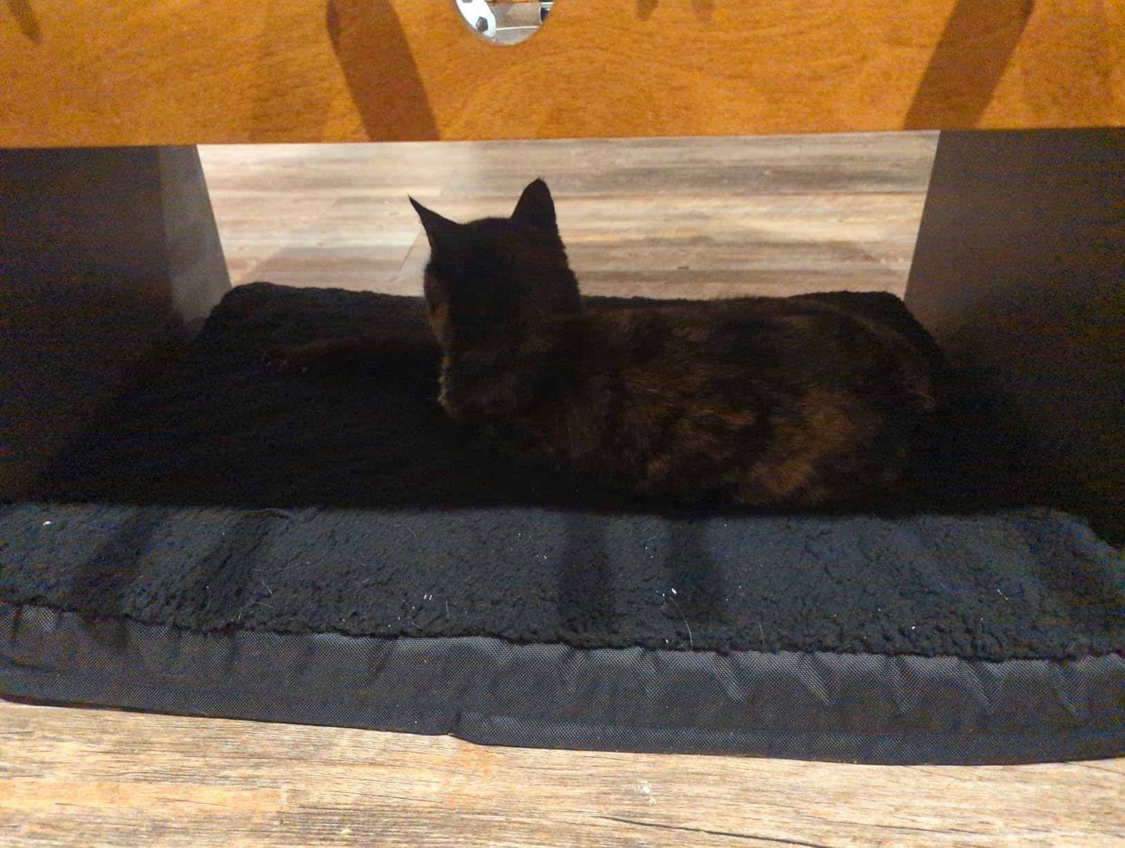 Bedsure Self Warming Dog Beds Large Sized Dog - Comfy Puppy Beds with Removable Washable Cover, Orthopedic Egg Crate Foam Pet Mat, Suitable for Pet Up to 65 lbs customer photo 2