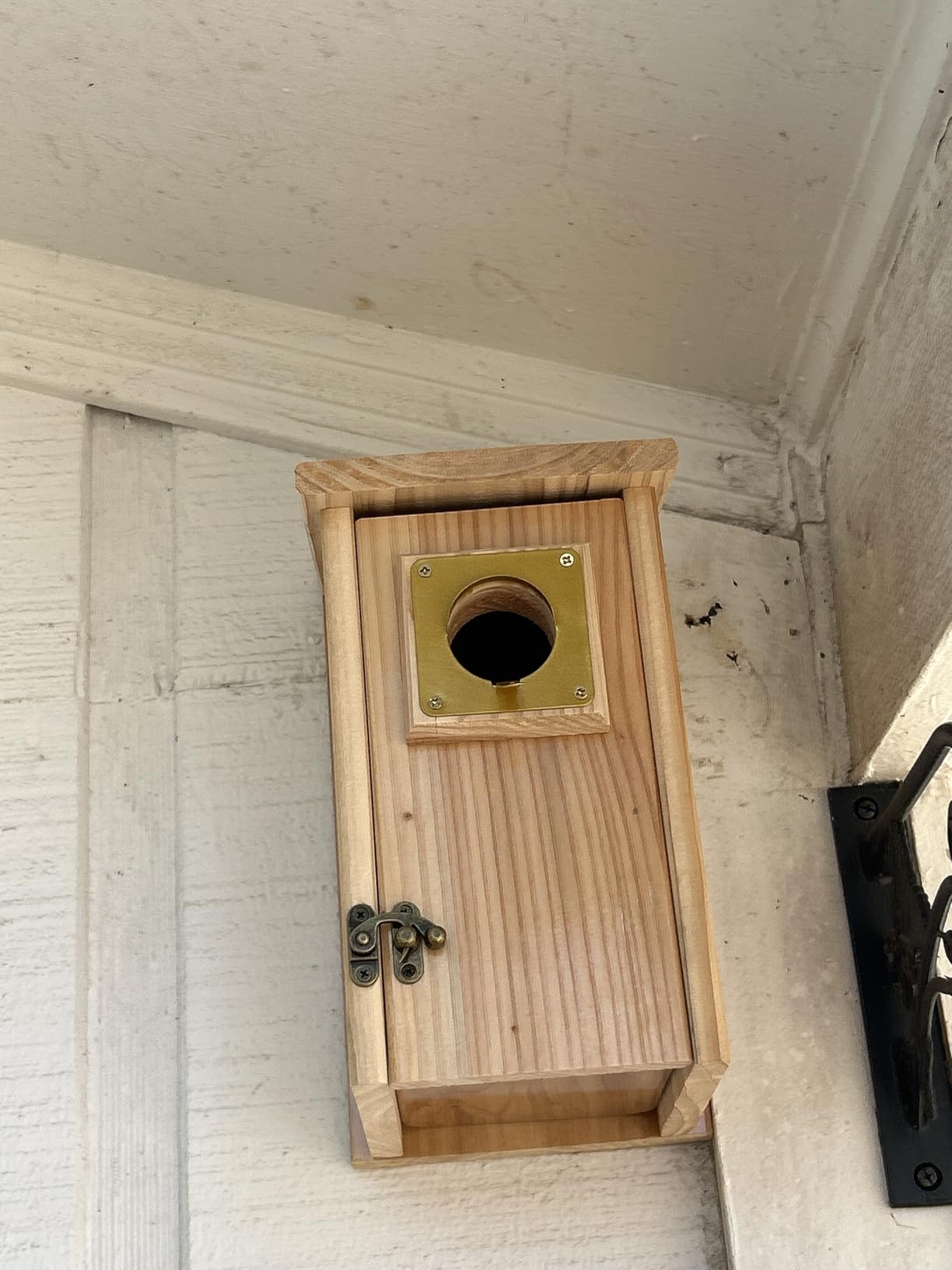 2pk Fortress Bluebird House for Outdoor Clearance - Metal Entry Cage, Mesh Base & Brass Guard - Cedar Bird House for Bluebirds, Finches, Patented Design, Weatherable 5 Years Usage, 6