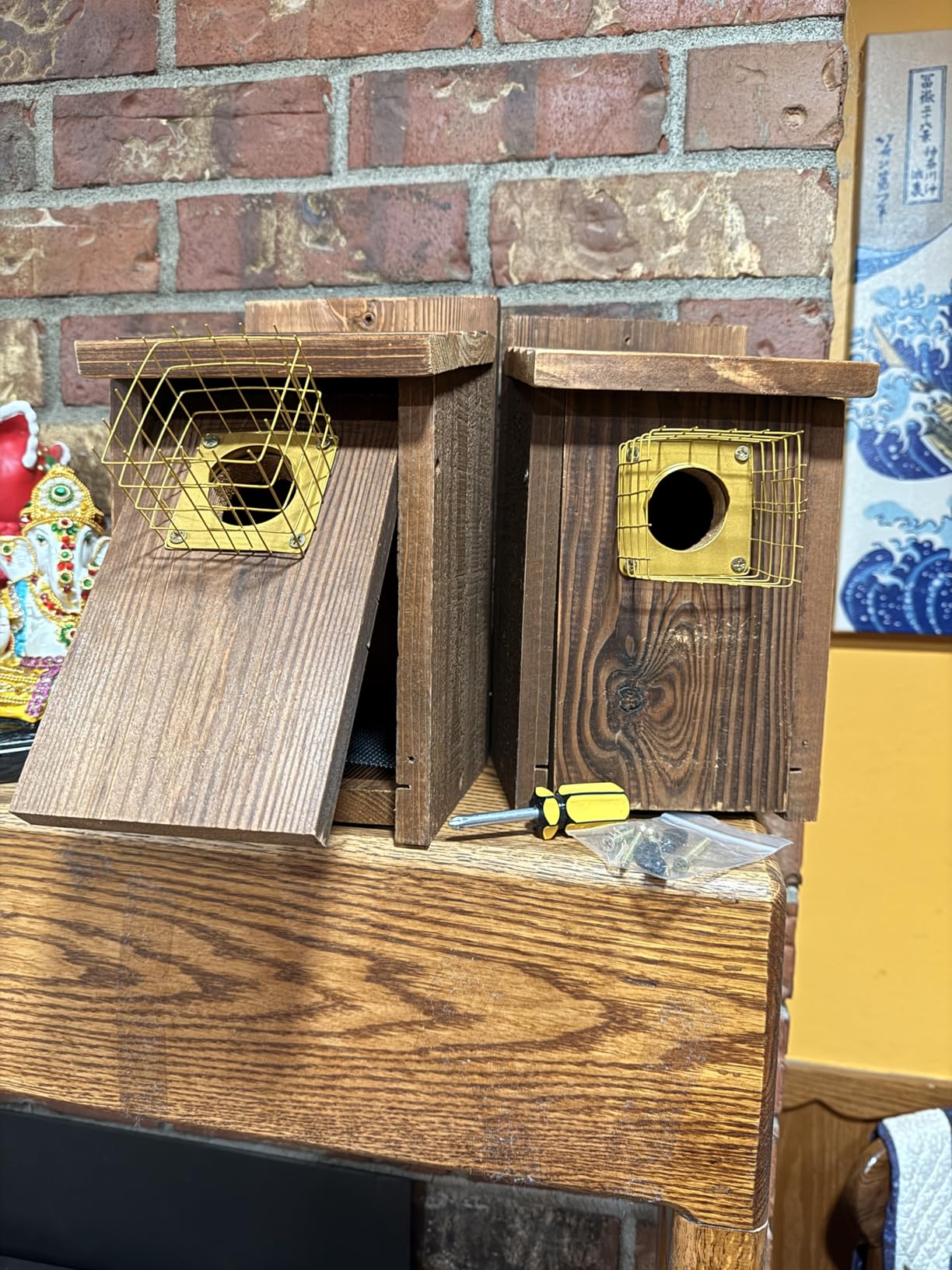 2pk Fortress Bluebird House for Outdoor Clearance - Metal Entry Cage, Mesh Base & Brass Guard - Cedar Bird House for Bluebirds, Finches, Patented Design, Weatherable 5 Years Usage, 6