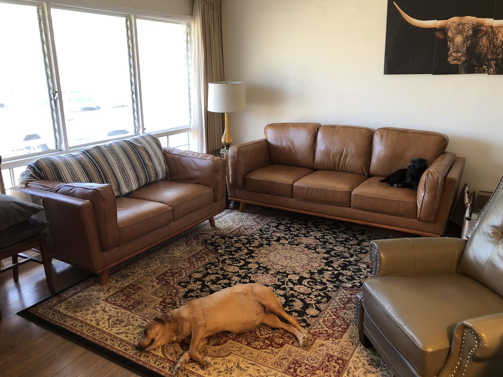 Valencia Artisan Full Leather Sofa - Pure Full Italian Nappa Leather Couch, Solid Wood Accent, Ultimate Comfort (Cognac, Left Chaise Sectional) customer photo 1