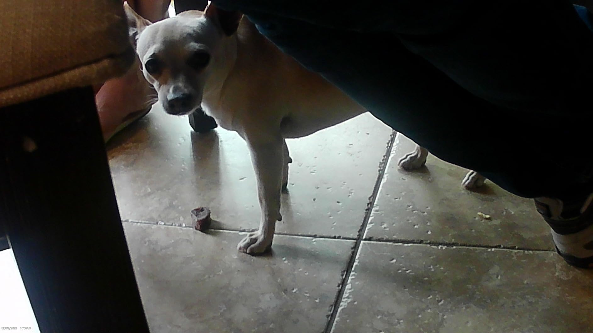 AKASO EK7000 4K30fps Action Camera with 64GB MicroSDXC U3 Memory Card Accessories Kit Bundle Ultra HD 131FT Waterproof Underwater Camera EIS WiFi Remote Control 4X Zoom, Black customer photo 1