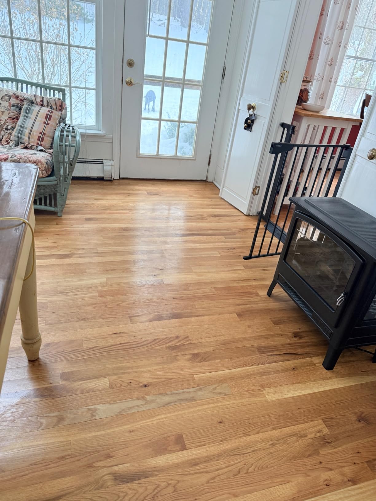 Steam Pickup Lightweight 3-in-1 Steam Mop Cleaner Picks Up Debris, Deep Scrubs & Steam Sanitizes - All At Once for Home with Sealed Hard Floors like Hardwood, Tile & Laminate, SD201 customer photo 2