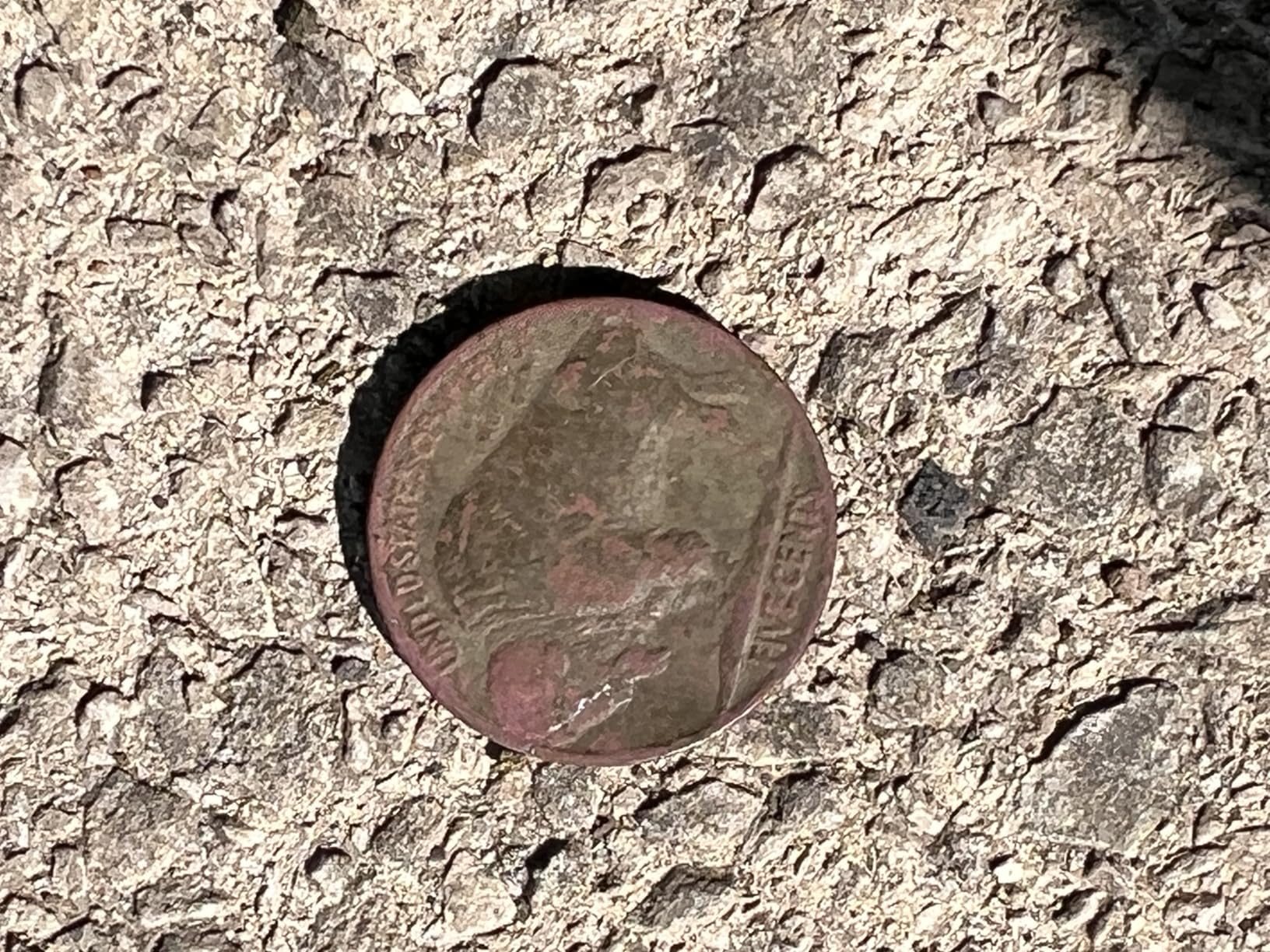 SAKOBS Metal Detector for Adults Professional - Higher Accuracy 9 Types of Metal Target Detection, 11