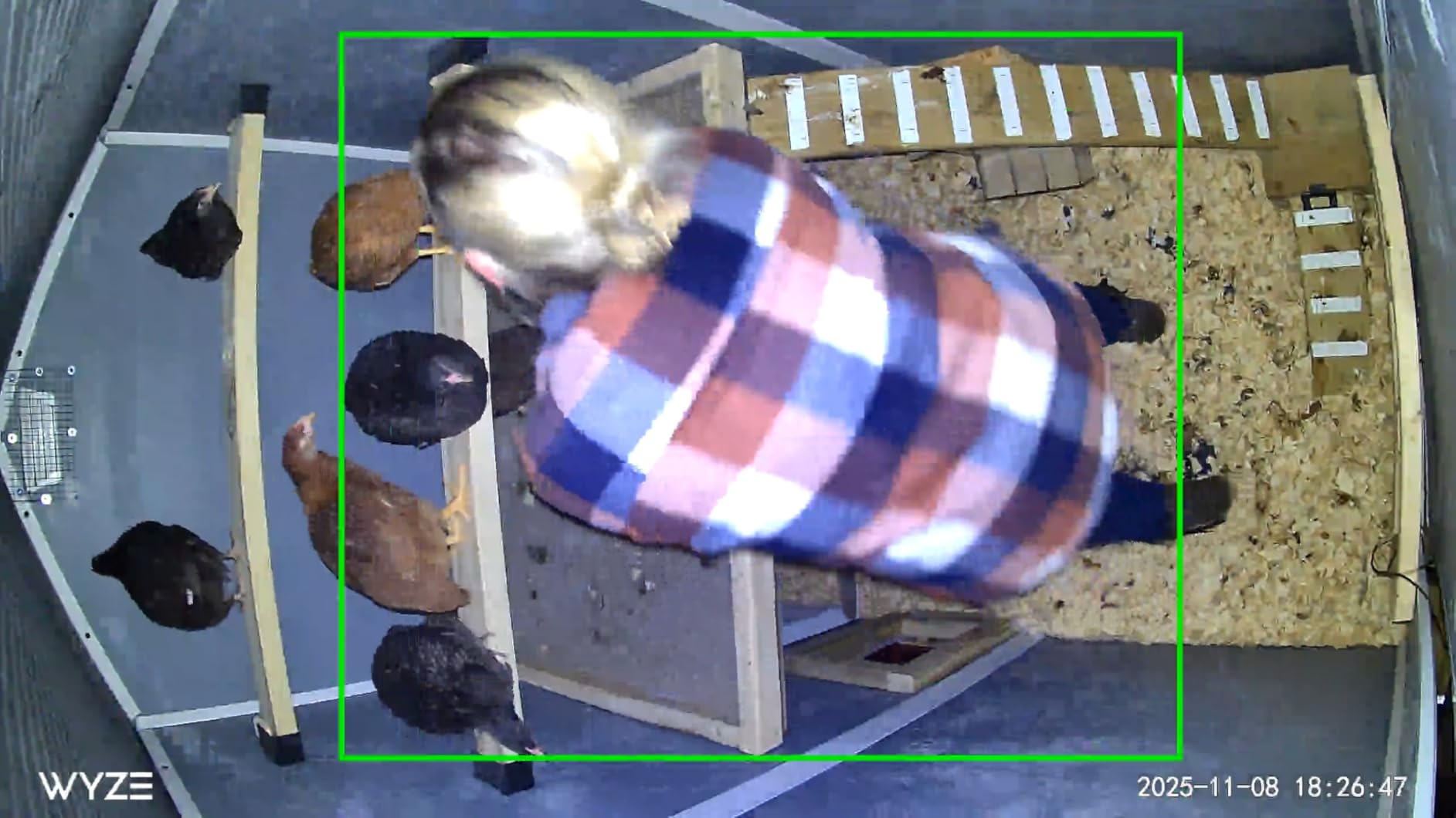 Okkobi Automatic Chicken Coop Door Solar Powered - LCD Display - Chicken Coop Door with Remote Control, Light Sensor & Timer - Security & Peace of Mind: Anti-Pinch function - 5-Year Protection - Brown customer photo 2