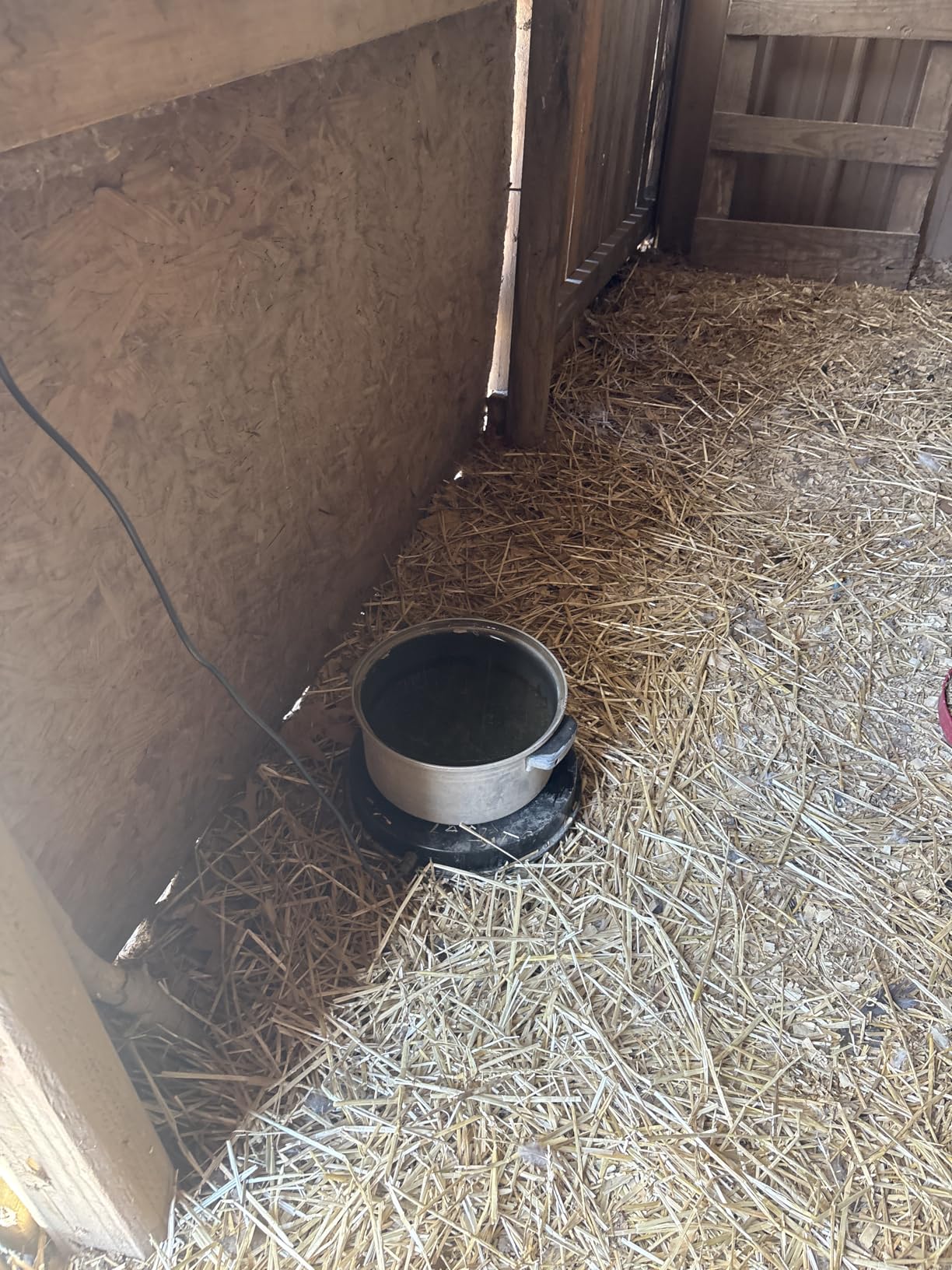 Chicken Water Heater for Winter, 110Watt Thermostat Heated Poultry Waterer Base with 9.8ft Power Cord,Suitable for Plastic/Metal Poultry Waterer (Black, 11INCH-2PACK) customer photo 1