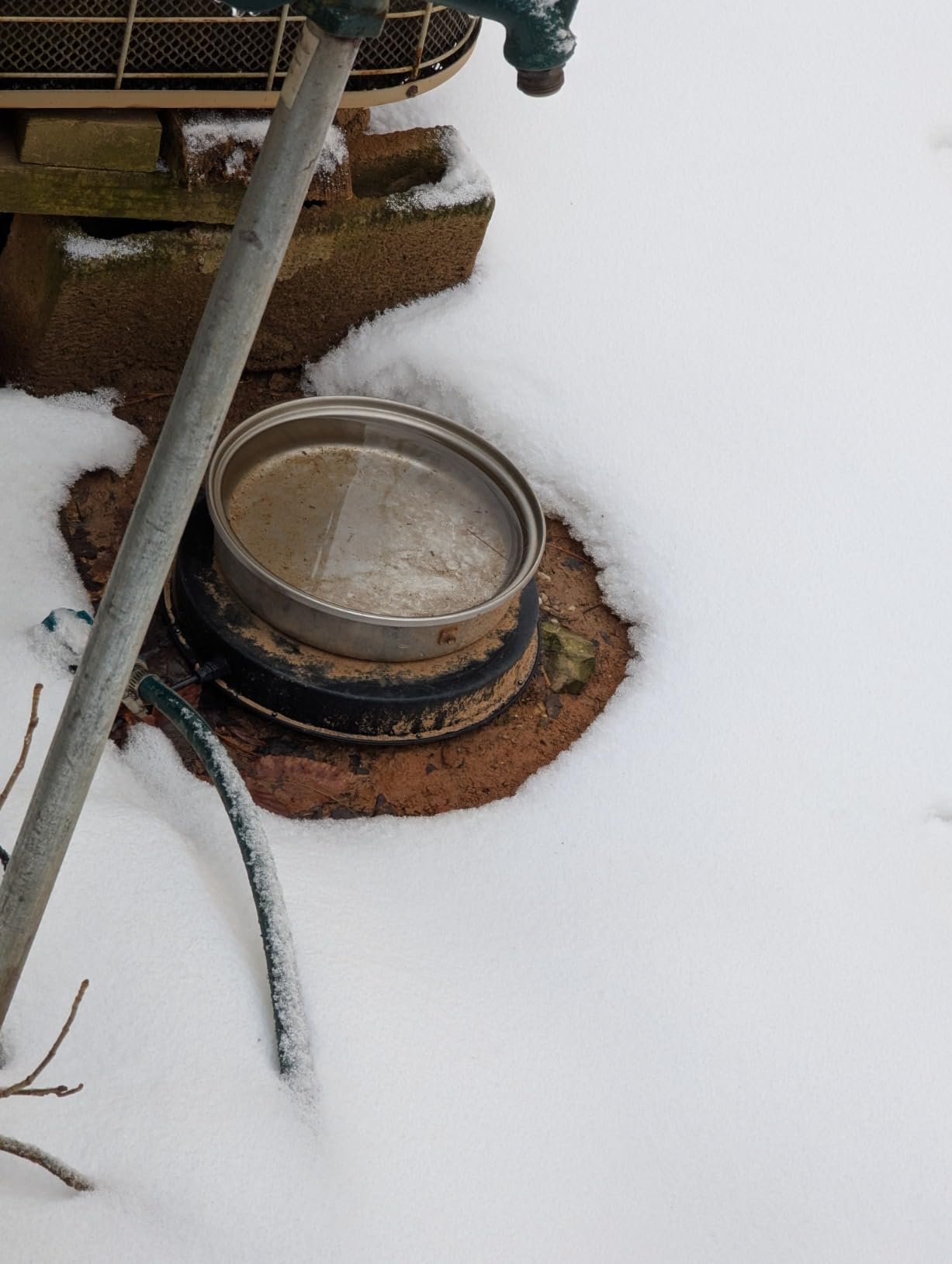 Chicken Water Heater for Winter, 110Watt Thermostat Heated Poultry Waterer Base with 9.8ft Power Cord,Suitable for Plastic/Metal Poultry Waterer (Black, 11INCH-2PACK) customer photo 2