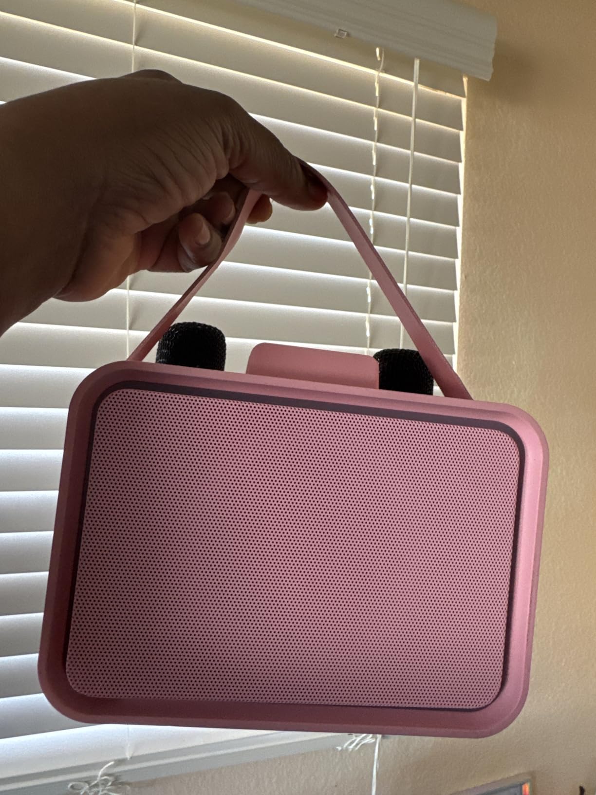 Karaoke Machine,Portable Bluetooth Speaker with 2 Wireless Microphone for Adults & Kids with LED Lights, Karaoke Microphone with PA System Supports USB/TF/AUX,Gift for Party (Black) customer photo 1