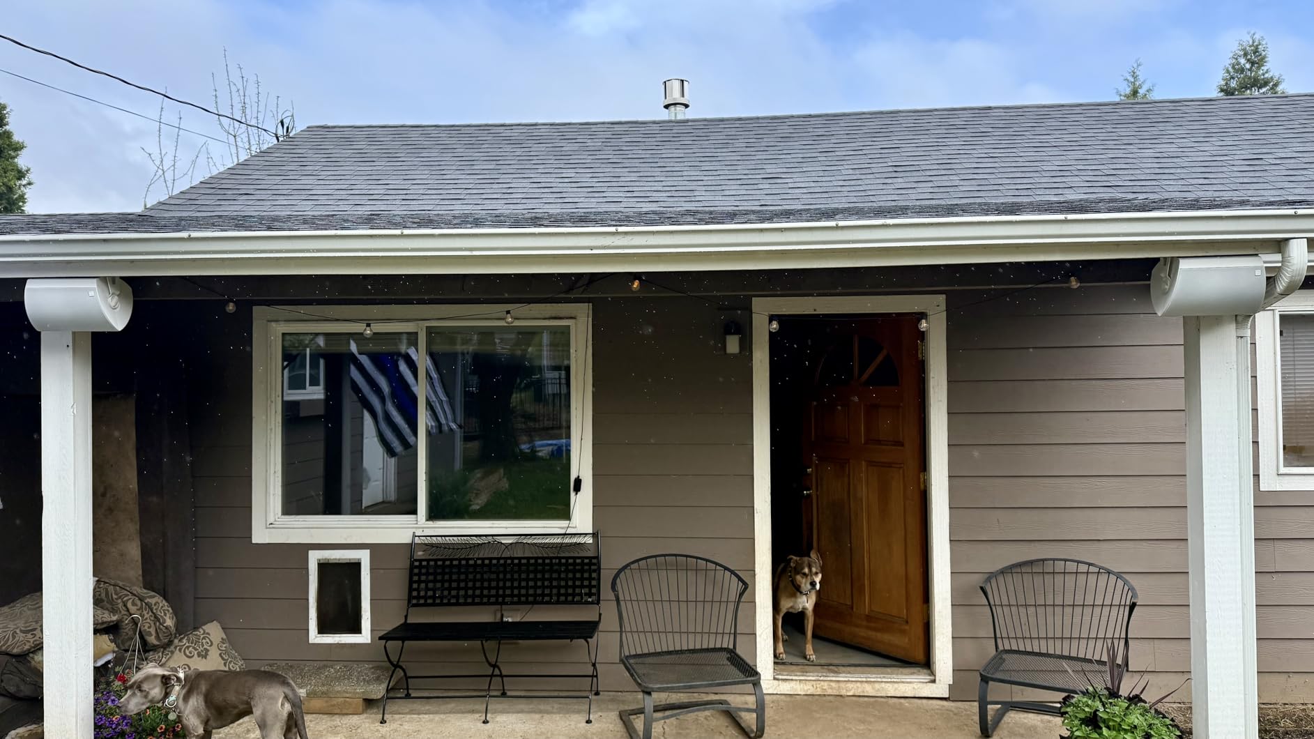 Definitive Technology Dymension AW-650 Outdoor Speaker (Black, Pair) - IP66 All-Weather with 6.5