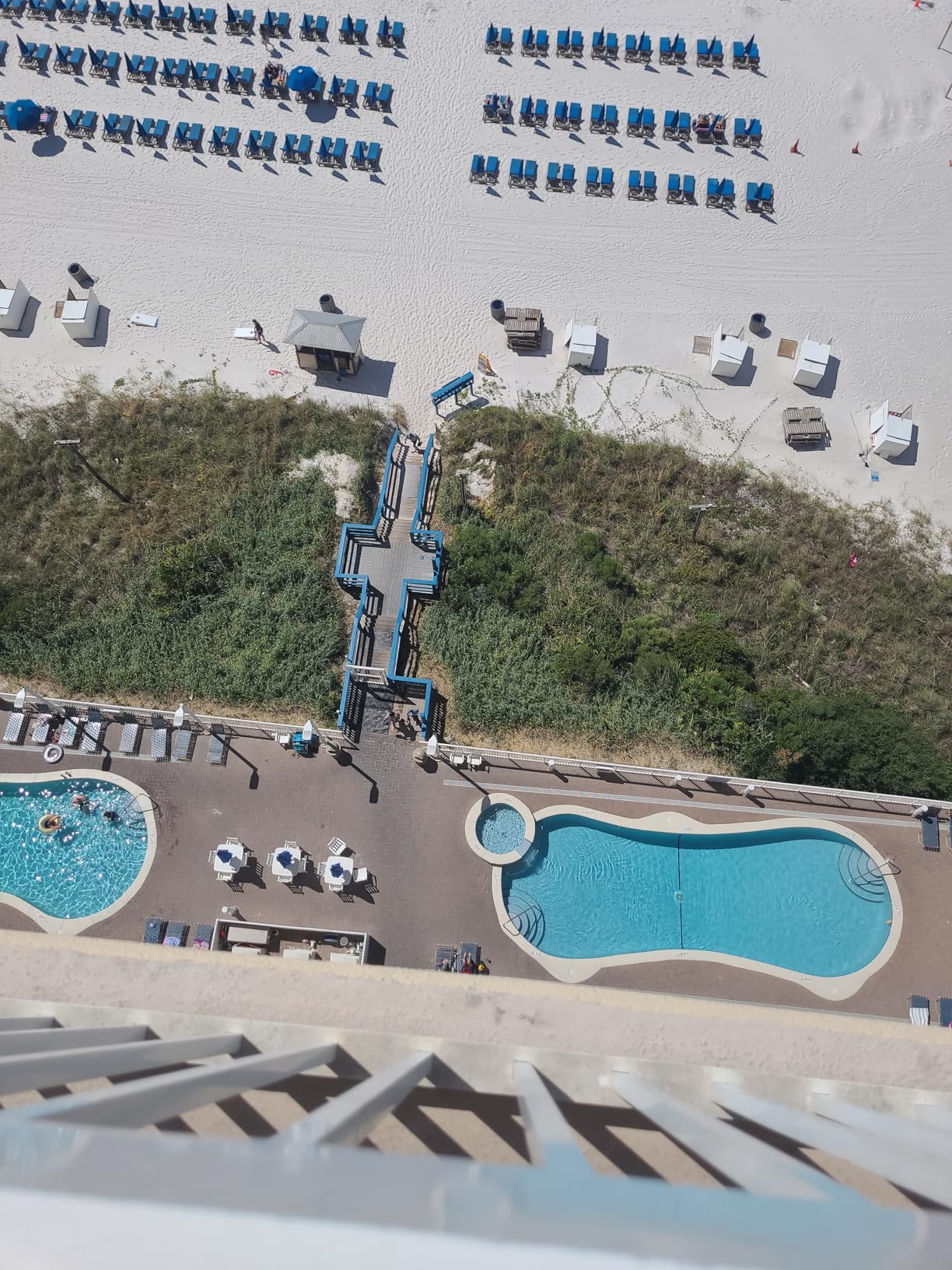 Gosky 8x42 Roof Prism Binoculars for Adults, HD Professional Binoculars for Bird Watching Travel Stargazing Hunting Concerts Sports-BAK4 Prism FMC Lens-with Phone Mount Tripod Strap Carrying Bag customer photo 1