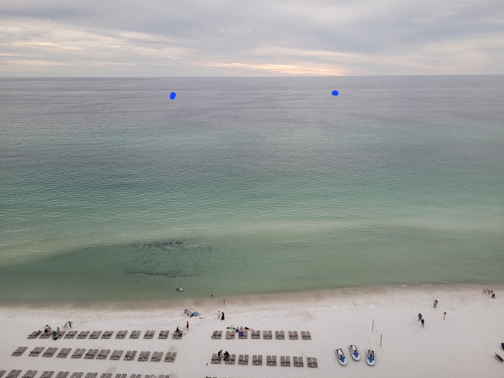 Gosky 8x42 Roof Prism Binoculars for Adults, HD Professional Binoculars for Bird Watching Travel Stargazing Hunting Concerts Sports-BAK4 Prism FMC Lens-with Phone Mount Tripod Strap Carrying Bag customer photo 2