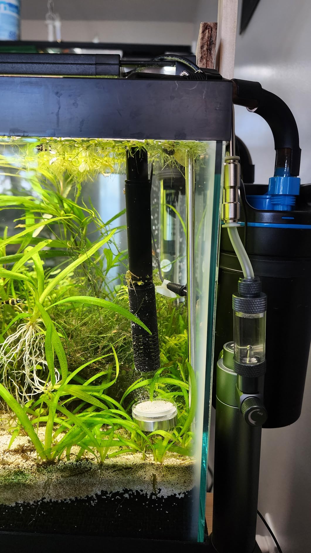 Aquarium Stainless Steel CO2 Diffuser Atomizer with Integrated Check Valve for Rimless Tanks, DC300-20 customer photo 1