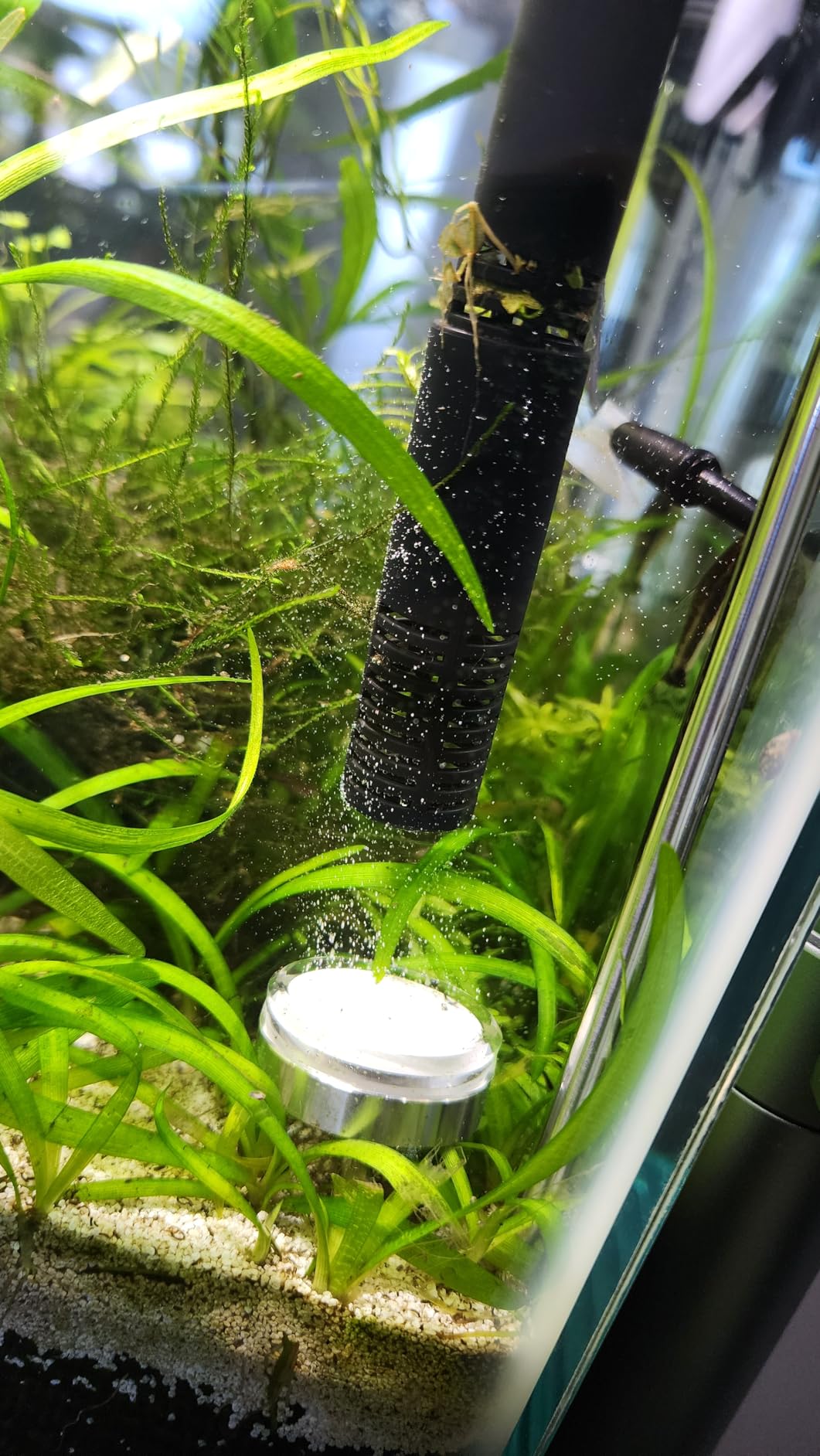 Aquarium Stainless Steel CO2 Diffuser Atomizer with Integrated Check Valve for Rimless Tanks, DC300-20 customer photo 2