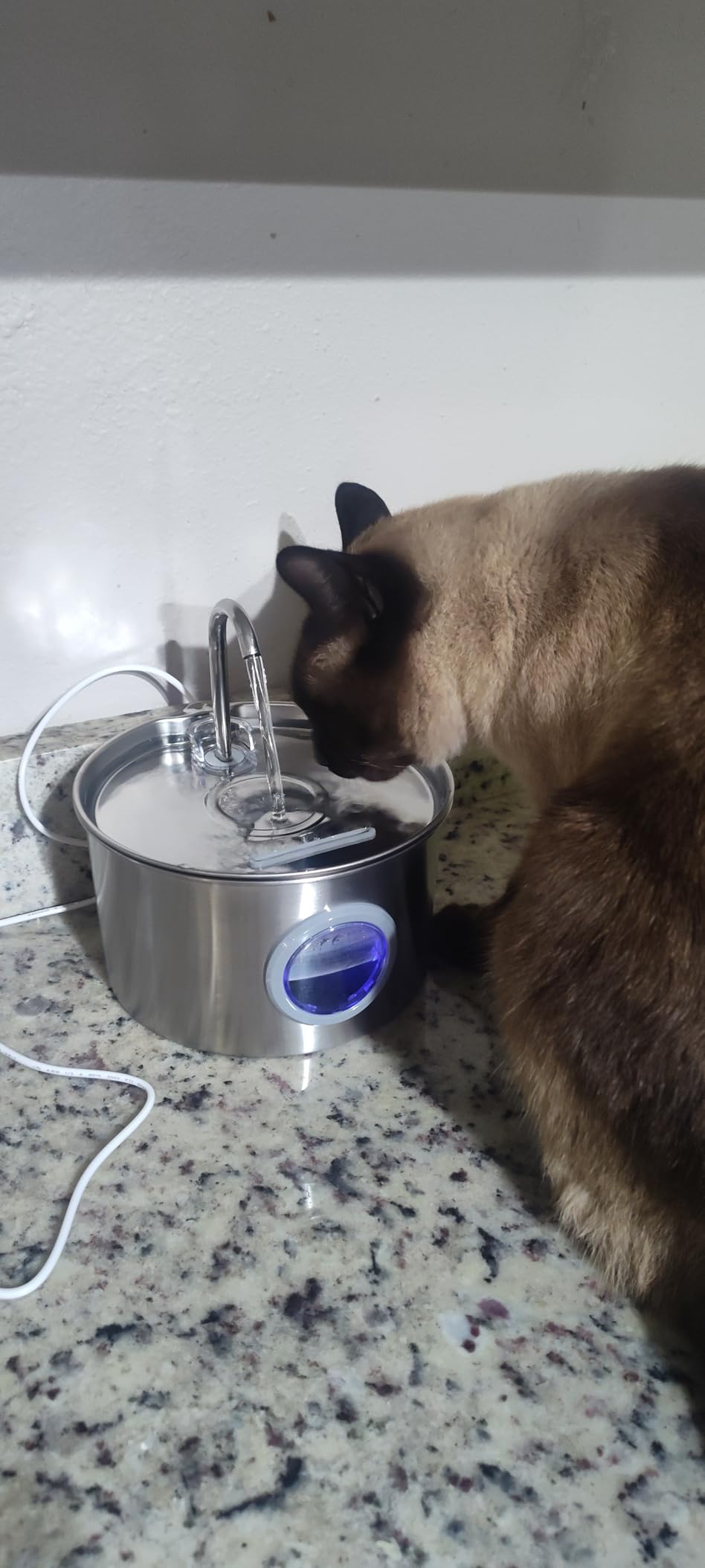 Cat Water Fountain Stainless Steel: 74oz/2.2L Cat Fountain for Drinking - Pet Water Fountain for Cats Inside - Quiet Cats Water Bowl Dispenser - Kitty Drinking Fountains - for Pets& Small Animals customer photo 2