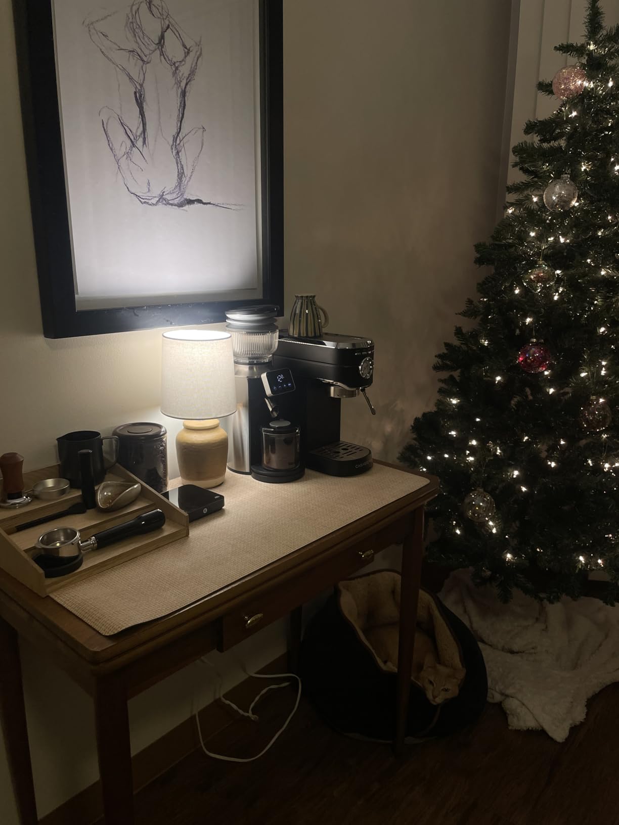 Neretva Espresso Grinder, 2 in 1 Professional Coffee Bean Grinder Stainless Steel Suit 51~58mm Portafilter Burr Coffee Grinder 30 Precise Setting&Anti-Static for Espresso/French Press/Drip/Moka-Silver customer photo 1