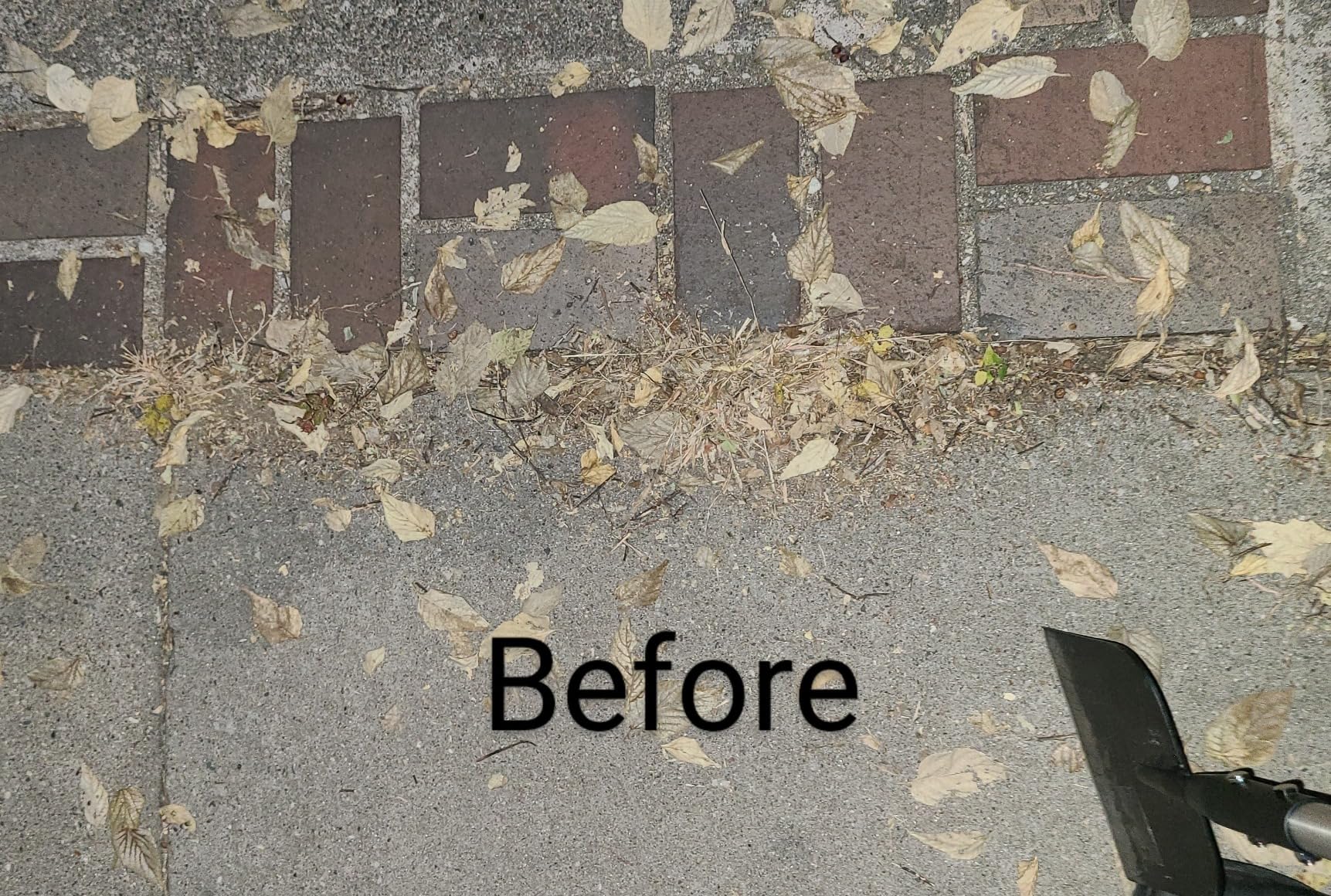 Flat Shovel with Adjustable Handle, 59 in Floor Scraper, Ice Scraper, Garden Cleaning Scraper, Ice Chopper, Snow Shovel, Multifunctional Weed Remover Tool for Walkway Driveway customer photo 2