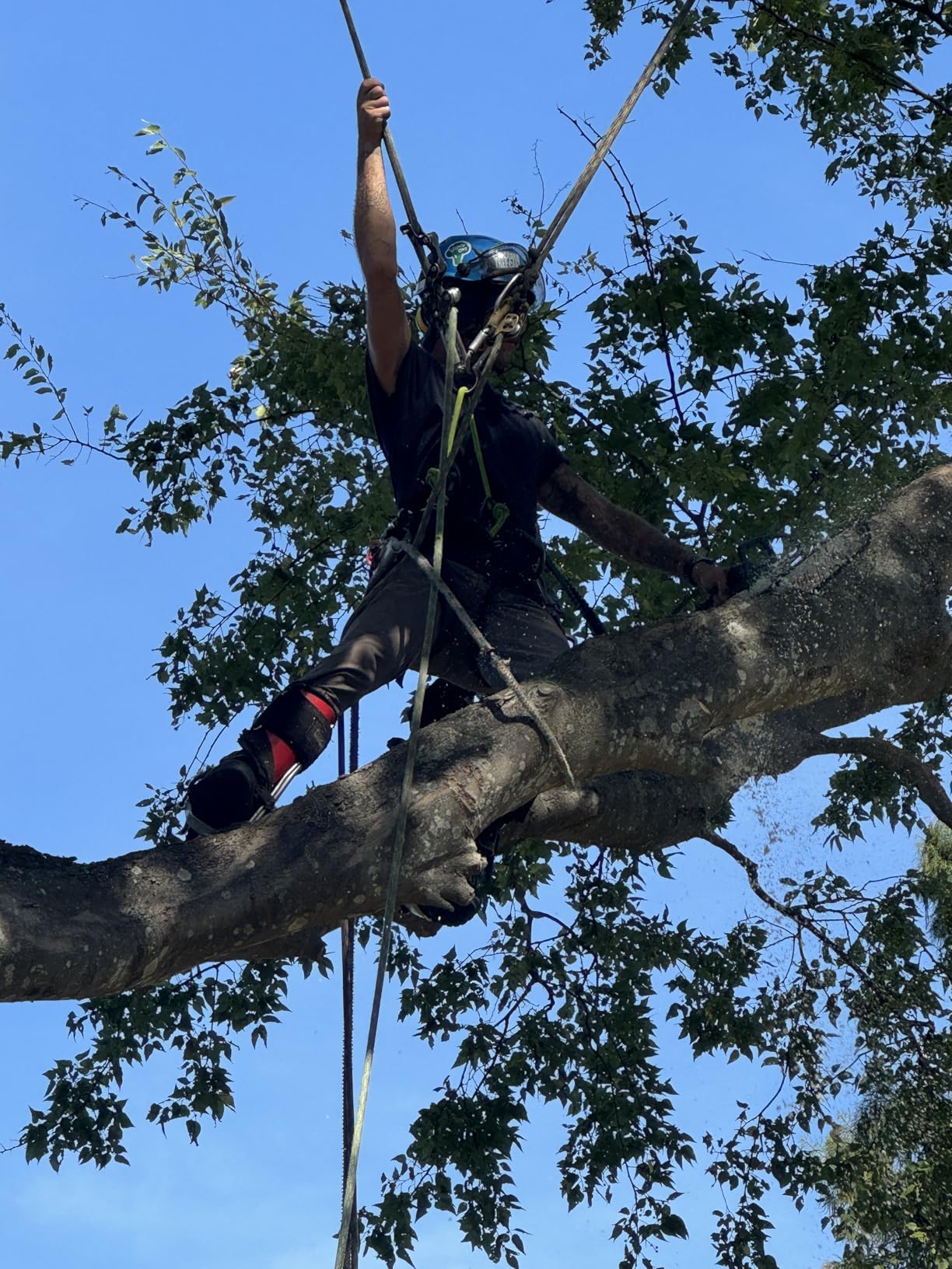 Notch Catalyst Harness, Custom EVA Molded Back & Leg panels, Integrated Ventilation Channels, Multiple Adjustment Points customer photo 1