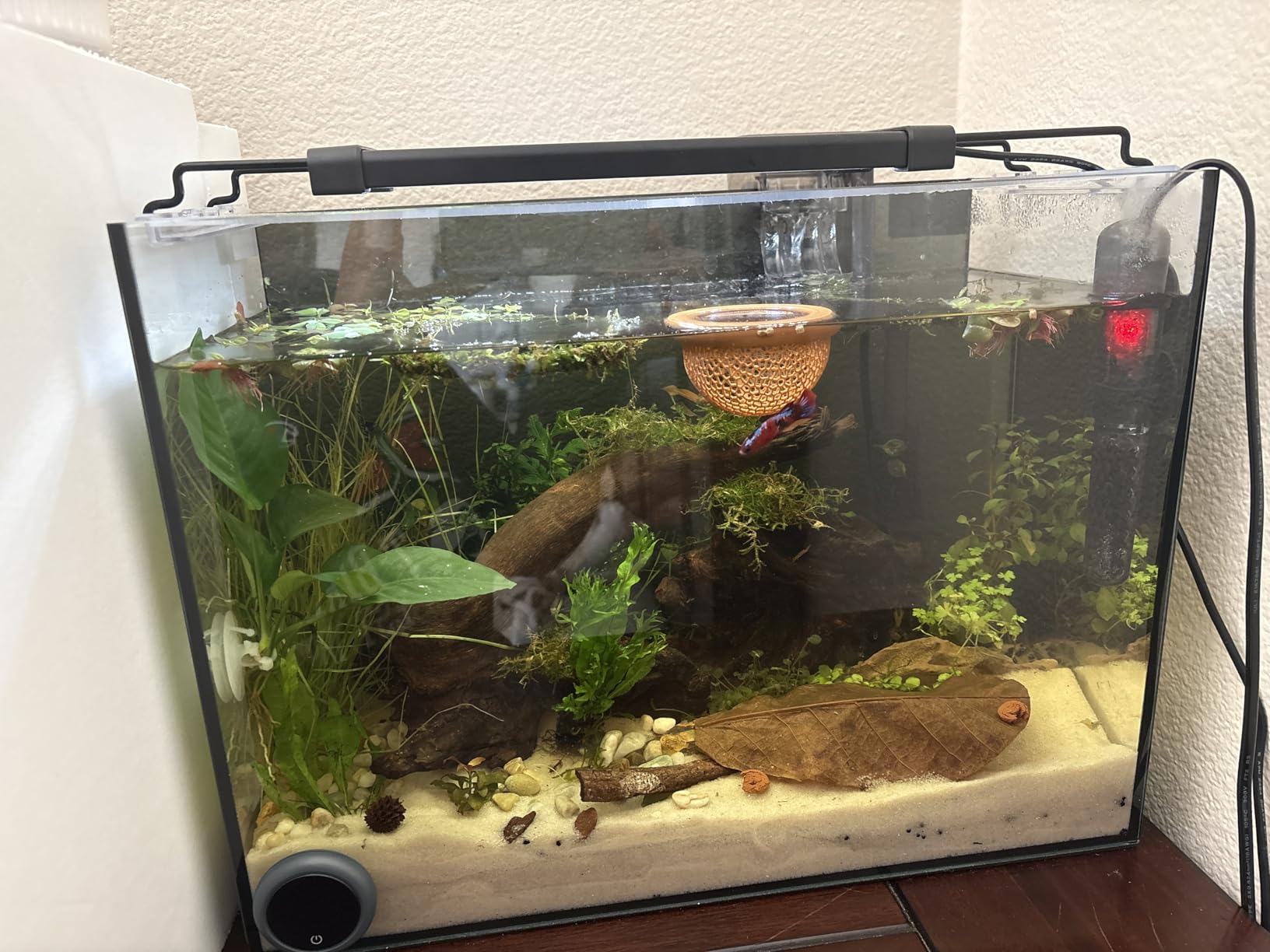 SEAOURA Aquarium Siphon Pump Gravel Cleaner, Fish Tank Vacuum Gravels Cleaning Kit, Manual Water Changer with Air Push Button, Aquariums Sand Clean Set, Hose for Suck Manure Wash Sand customer photo 2