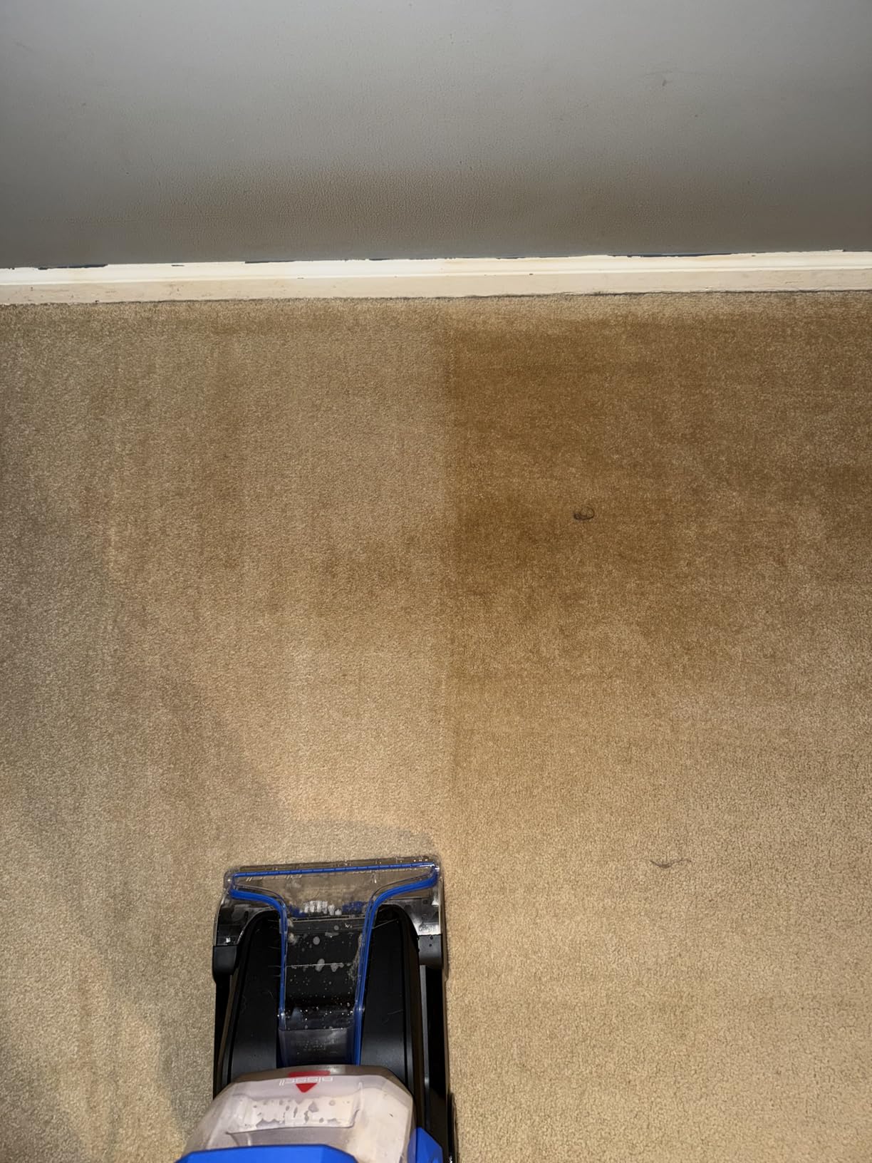 BISSELL TurboClean PET, Upright Carpet & Upholstery Cleaner, 3948 customer photo 1