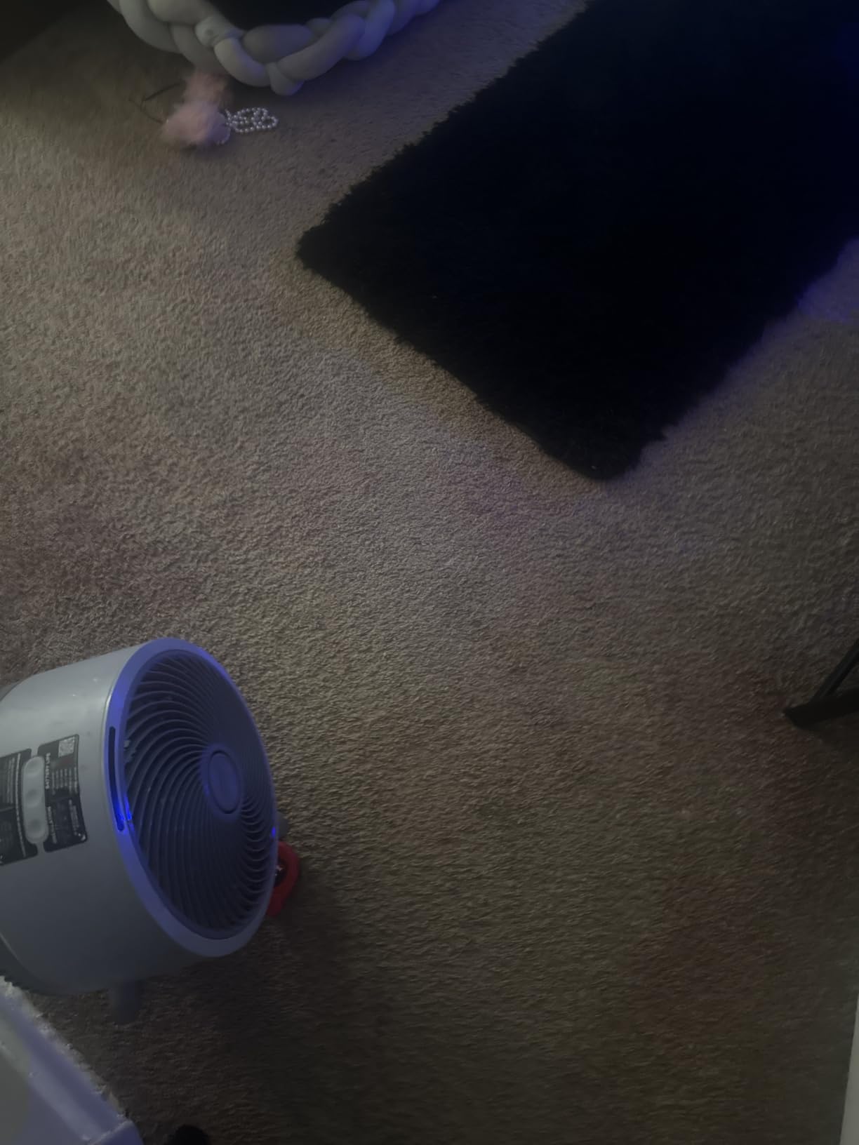 BISSELL TurboClean PET, Upright Carpet & Upholstery Cleaner, 3948 customer photo 2