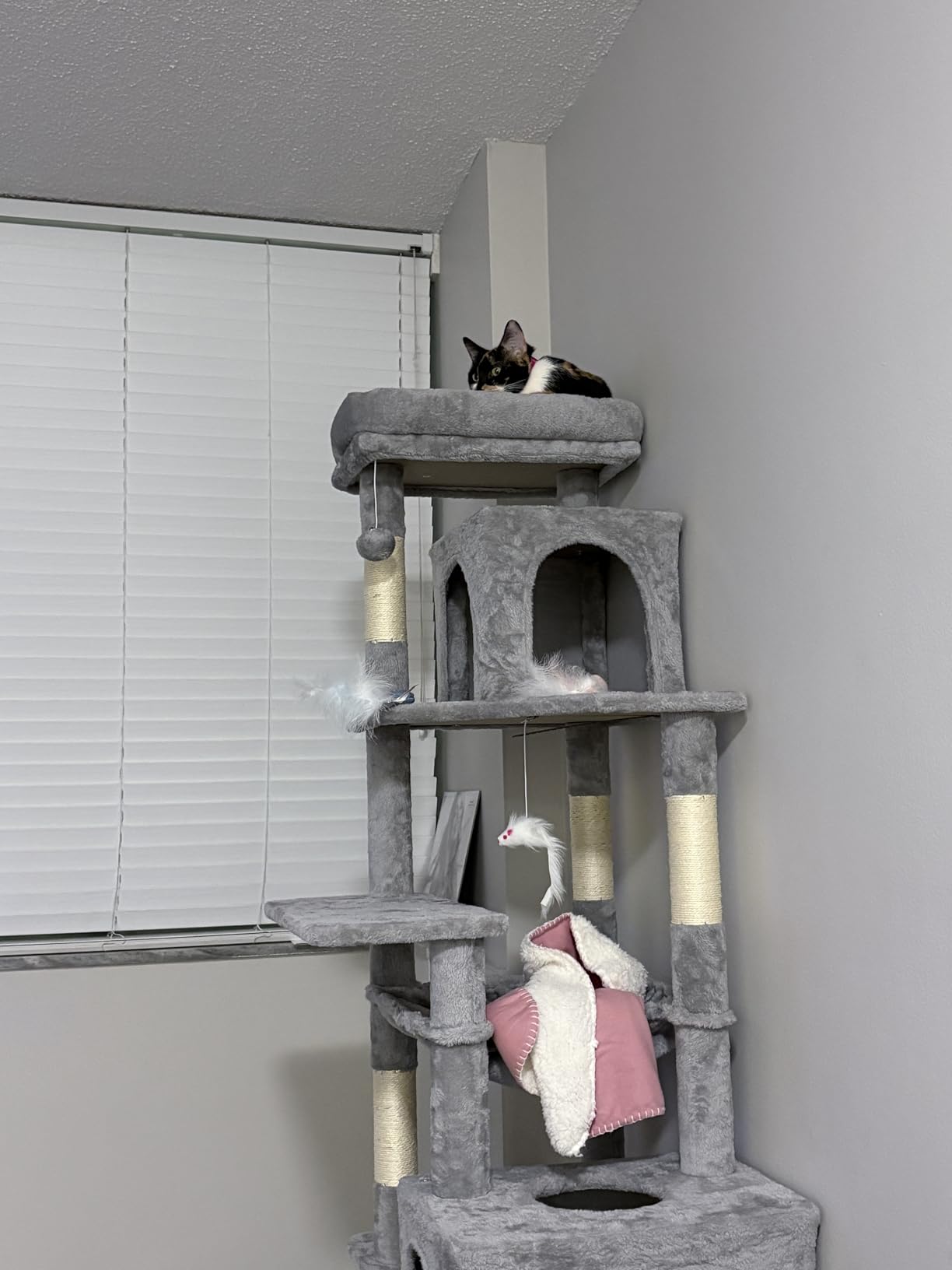 Globlazer Heavy Duty Cat Tree, 70 inch Sturdy Cat Tree for Indoor Cats Extra Large Cat Tower with Scratching Post, Hammock, Cat Condo for Adult Cats Kittens, F70 Pro, Light Grey customer photo 2