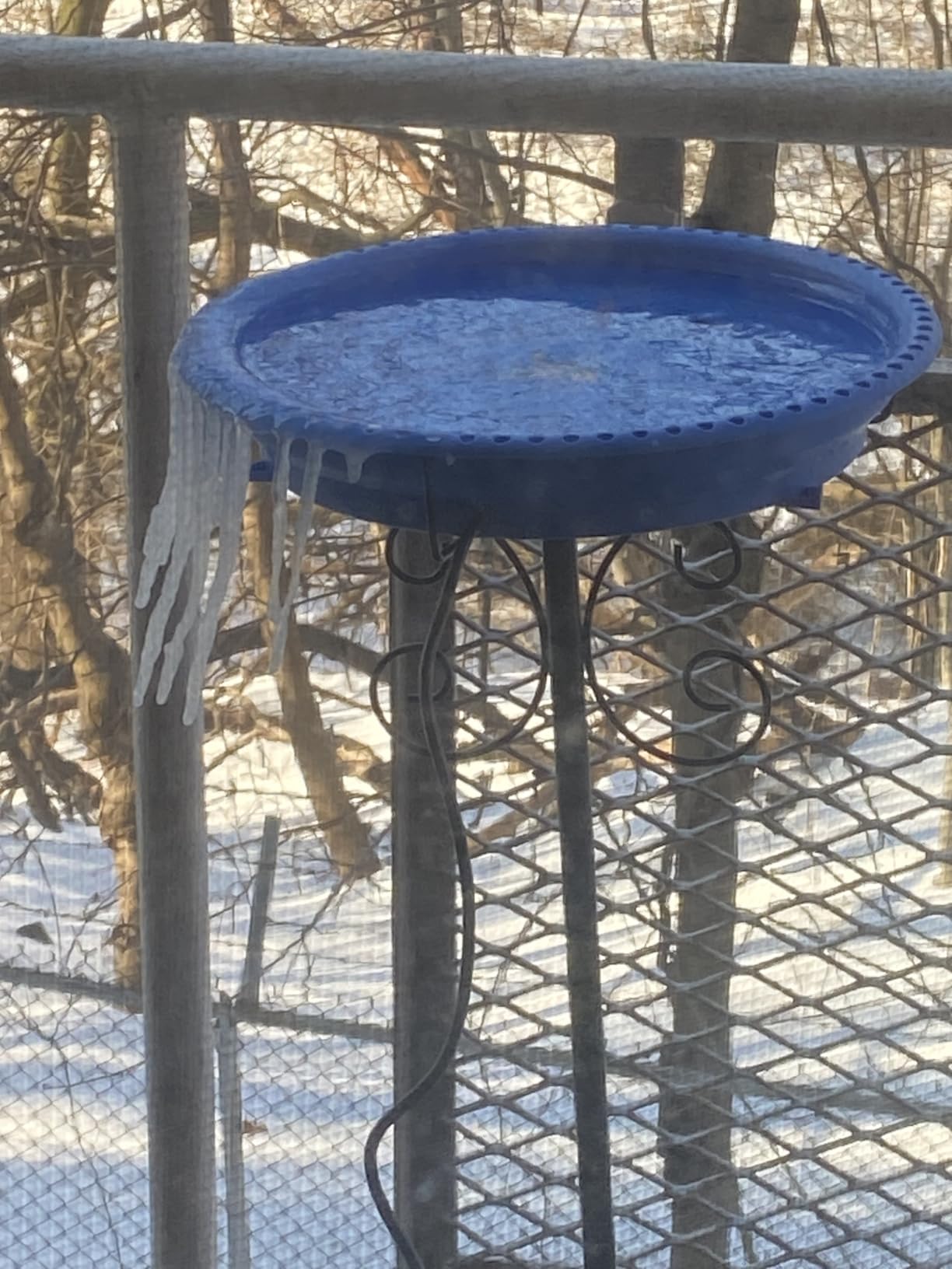 Daoeny Heated Bird Bath for Winter, Upgraded 100W Heated Bird Baths for Outdoors Thermostat Control with 5-Prong Metal Base, Heated Bird Bath for Outside Winter Garden Patio Yard Lawn (Blue) customer photo 1