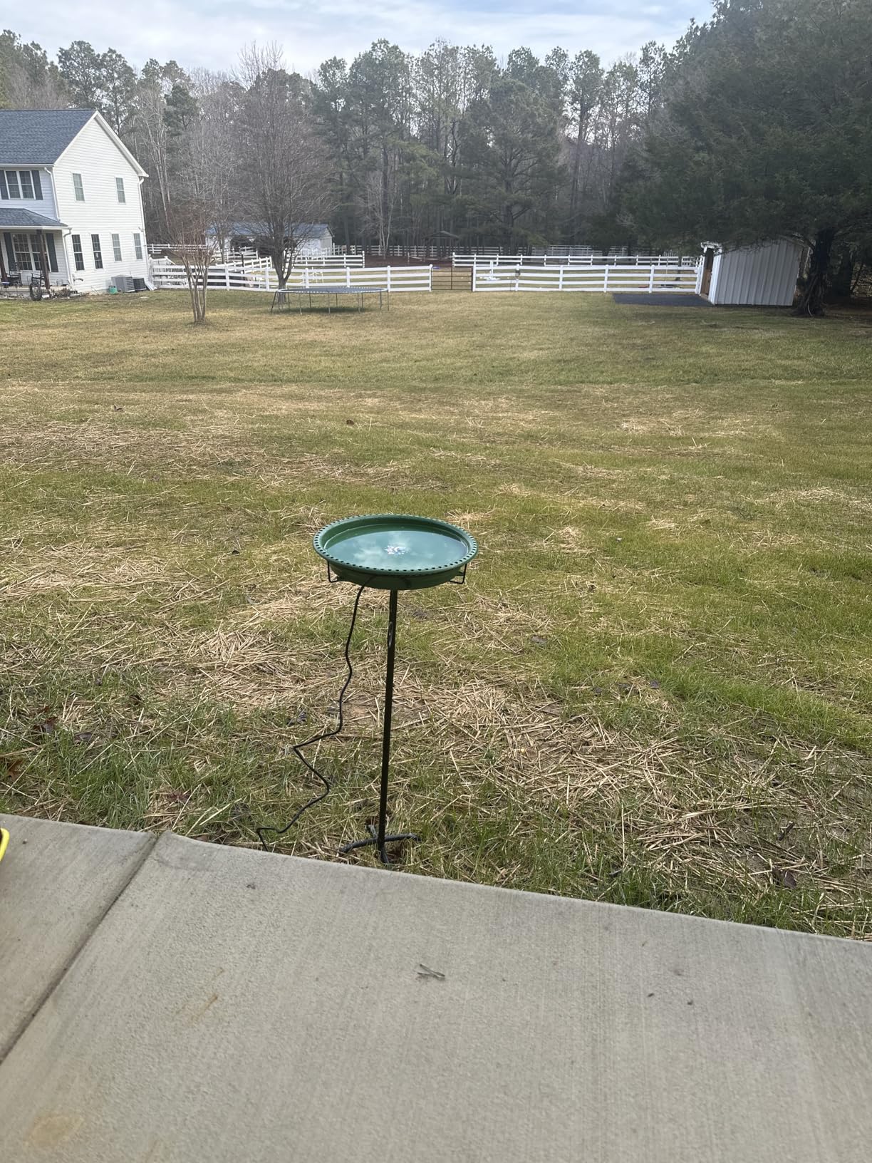 Daoeny Heated Bird Bath for Winter, Upgraded 100W Heated Bird Baths for Outdoors Thermostat Control with 5-Prong Metal Base, Heated Bird Bath for Outside Winter Garden Patio Yard Lawn (Blue) customer photo 2