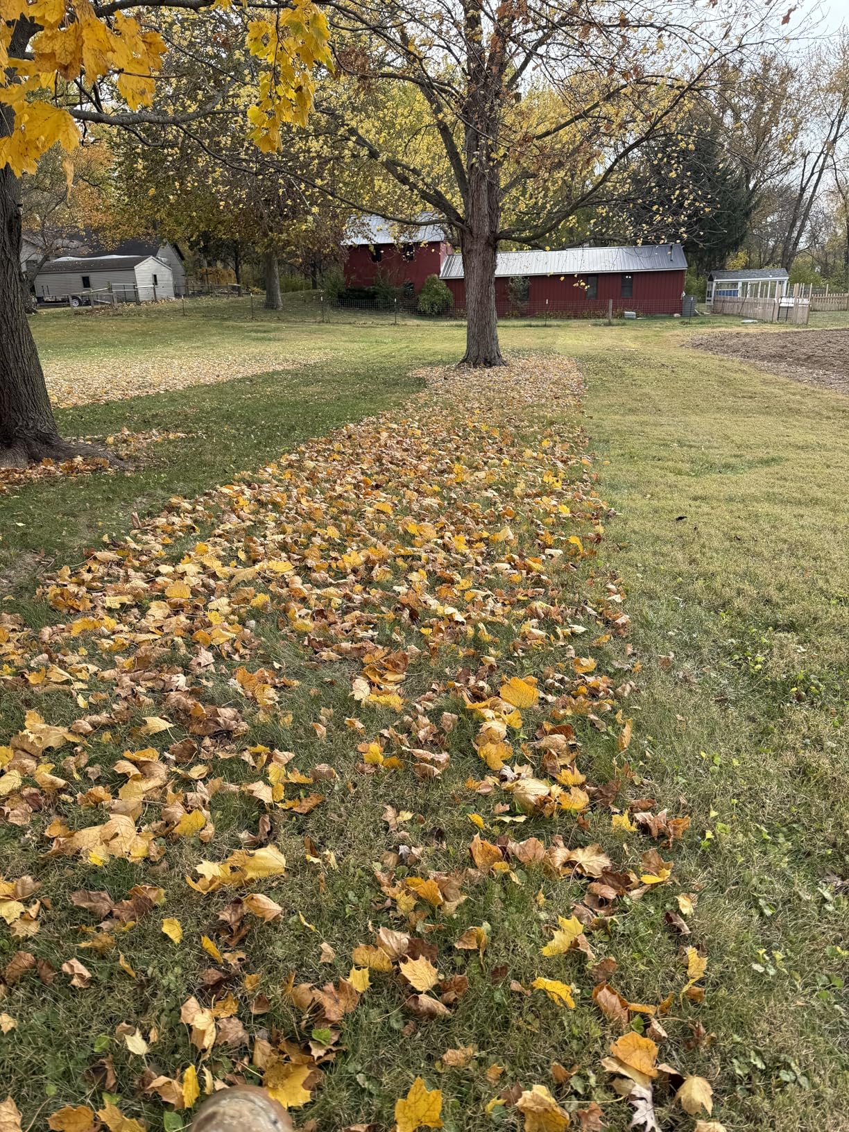 Agri-Fab 45-0630 Large Capacity 29 CU FT Soft Top Mow-N-Vac, Tow Behind Lawn Vacuum, Leaf Vacuum, Gas Powered, Easy Single Lever Dumping customer photo 1